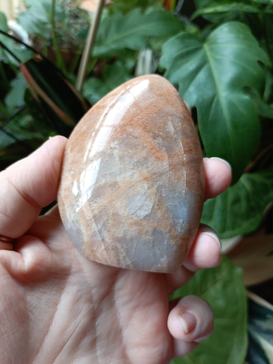 Peach Moonstone Teardrop Carvings - 171g