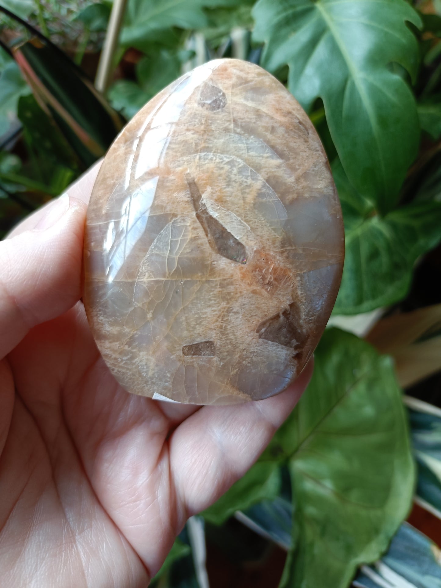 Peach Moonstone & Smokey Quartz Teardrop Carvings - 189g
