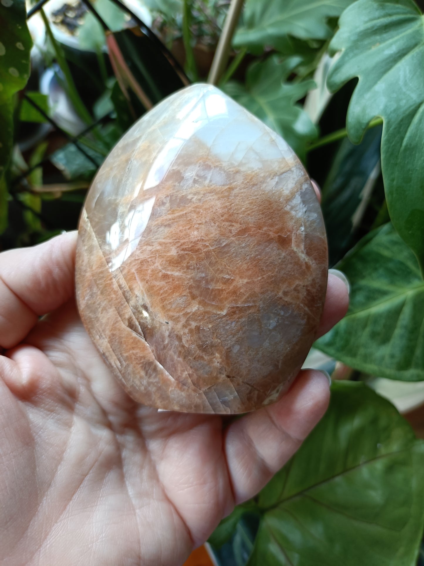 Peach Moonstone & Smokey Quartz Teardrop Carvings - 322g