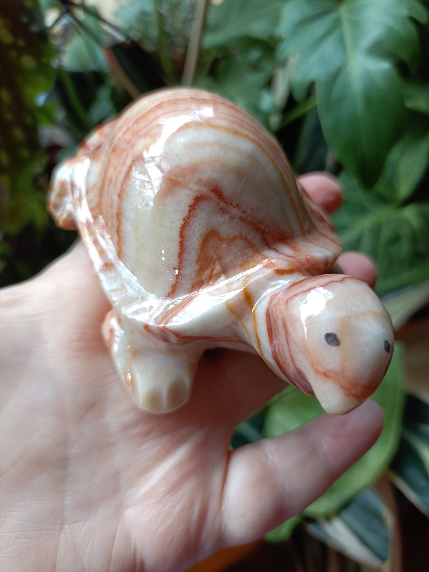 'Porkstone' Red Banded Calcite Turtle Carving - 353g