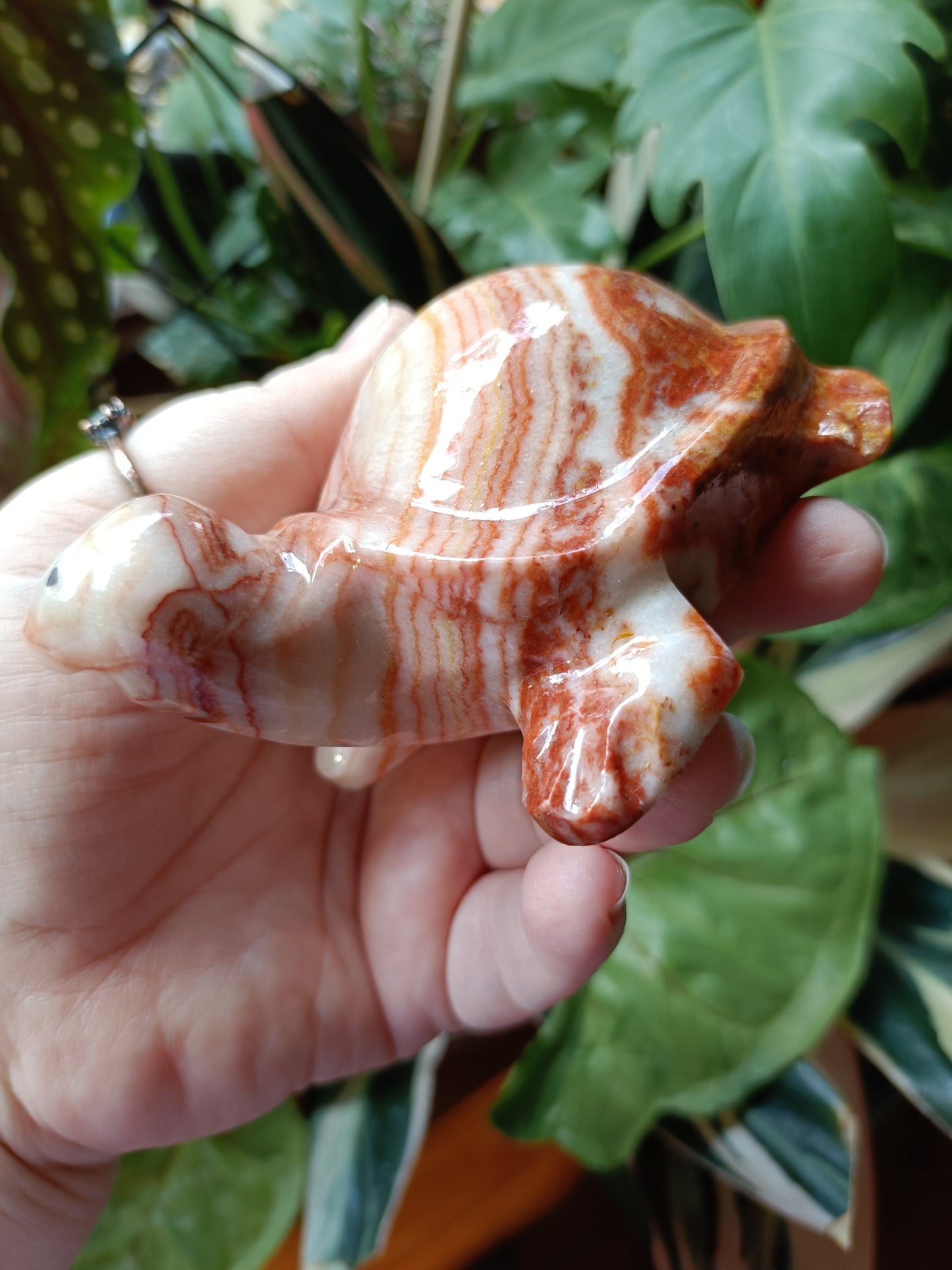 'Porkstone' Red Banded Calcite Turtle Carving - 353g