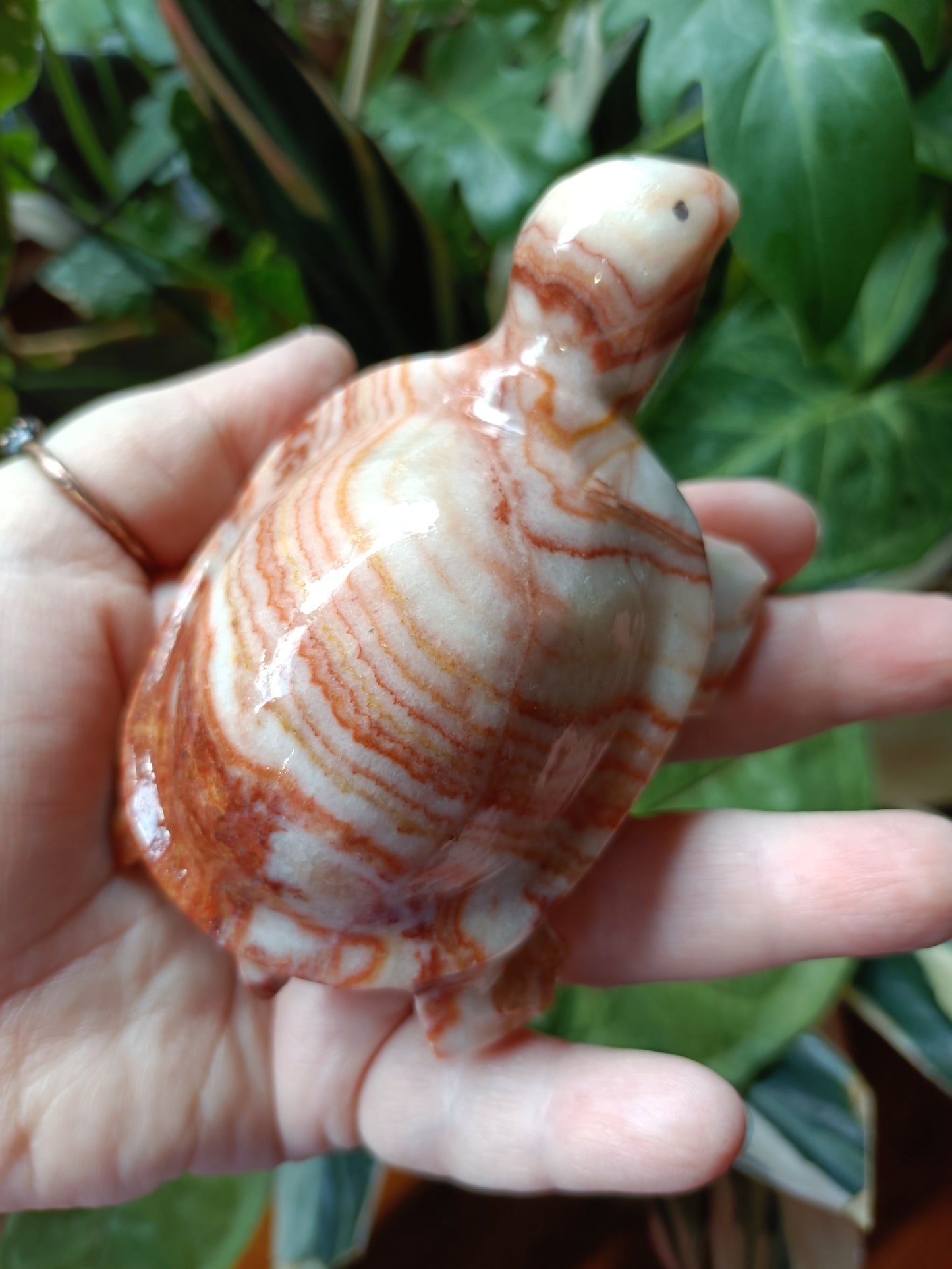 'Porkstone' Red Banded Calcite Turtle Carving - 353g