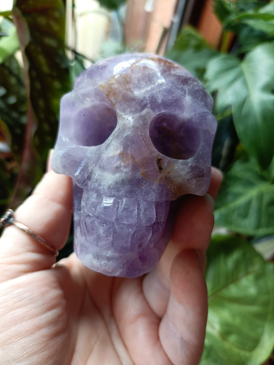 Amethyst Skull - 674g