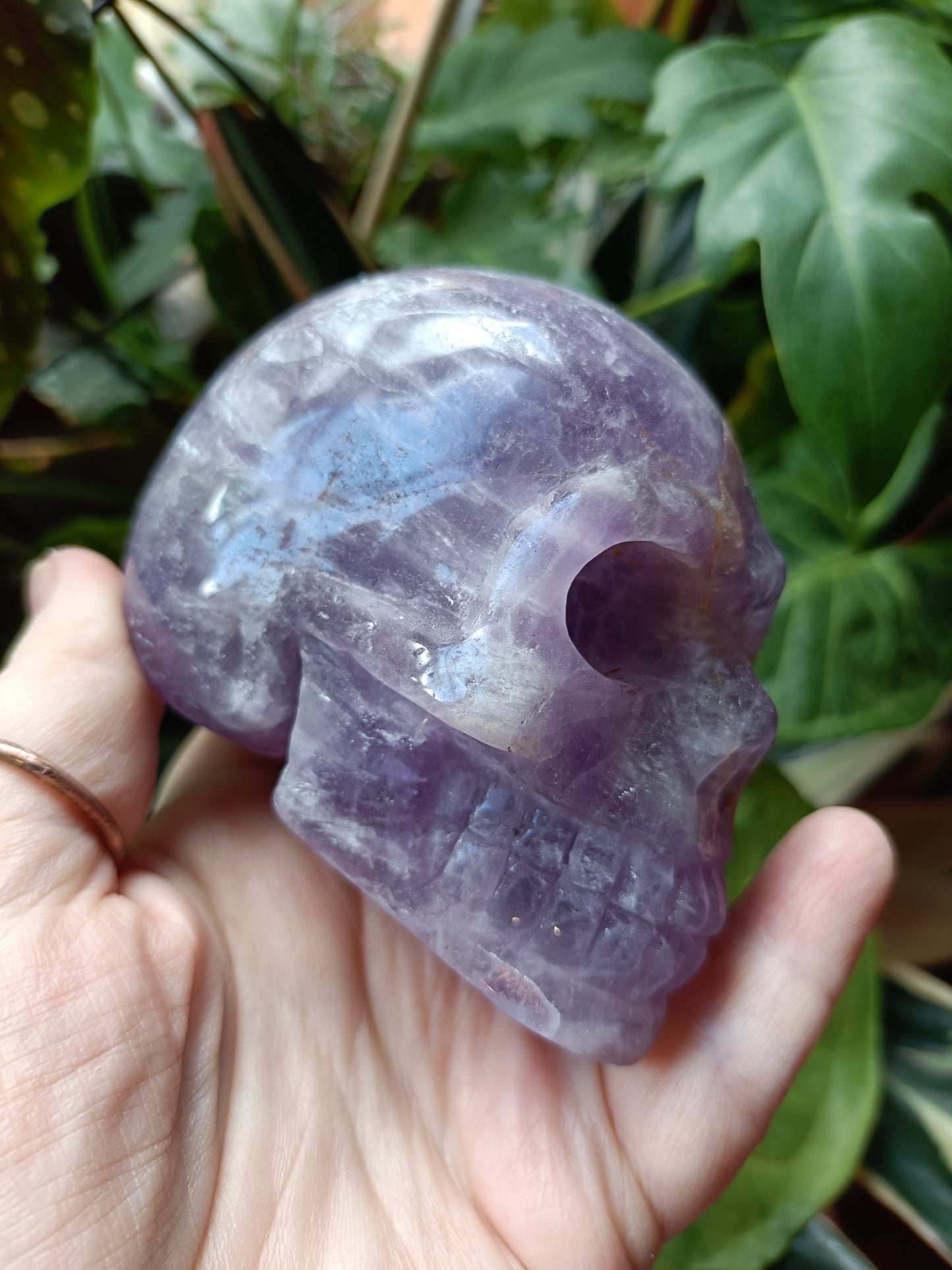 Amethyst Skull - 674g