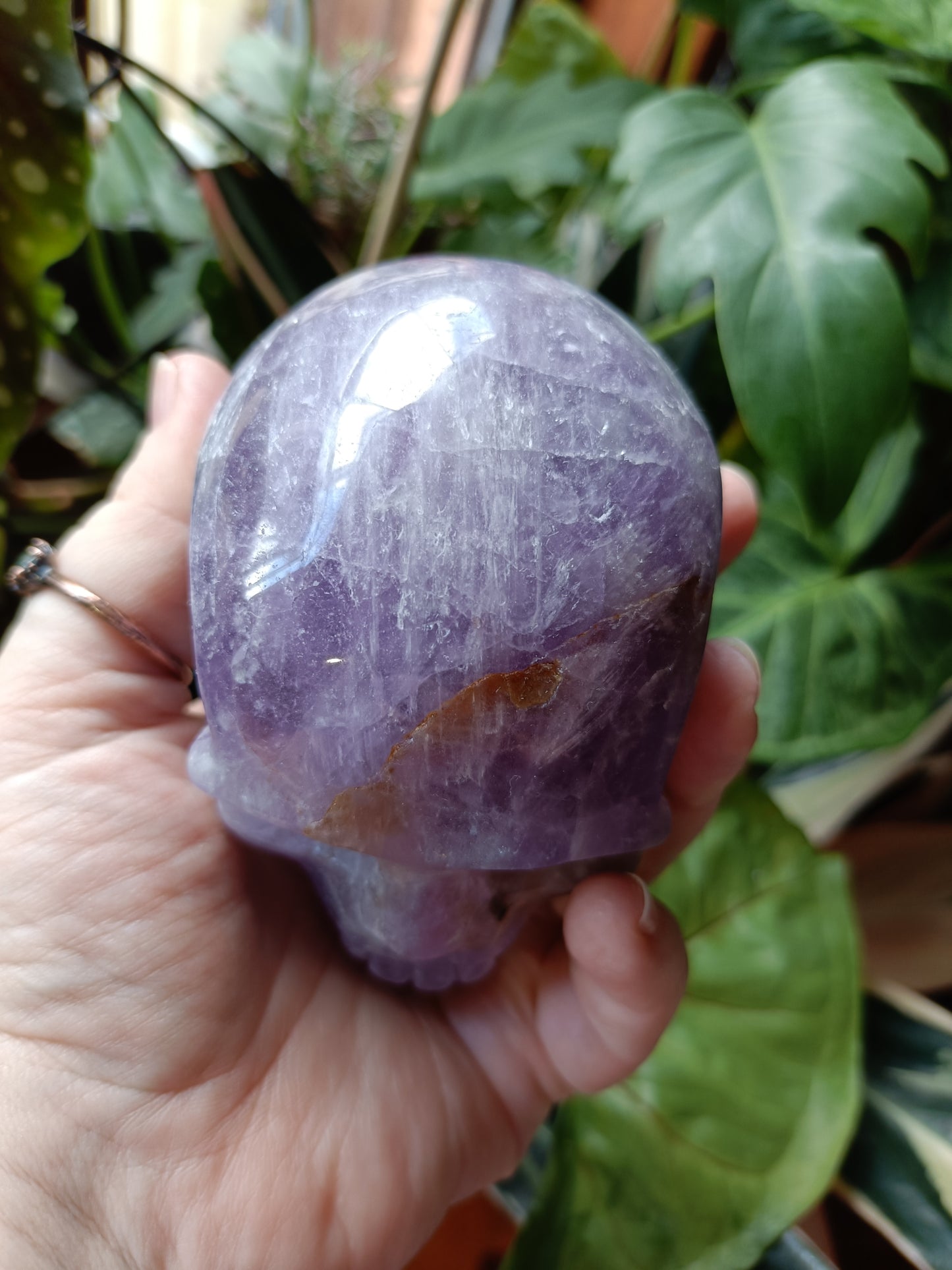 Amethyst Skull - 674g