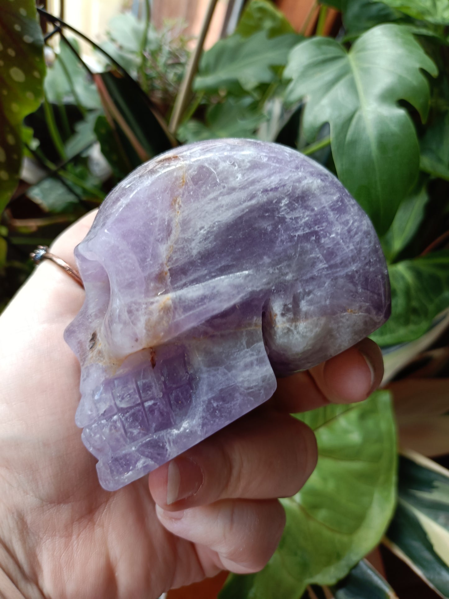Amethyst Skull - 674g