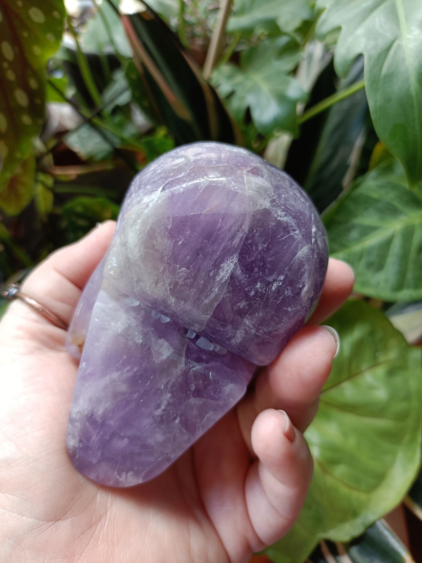 Amethyst Skull - 674g