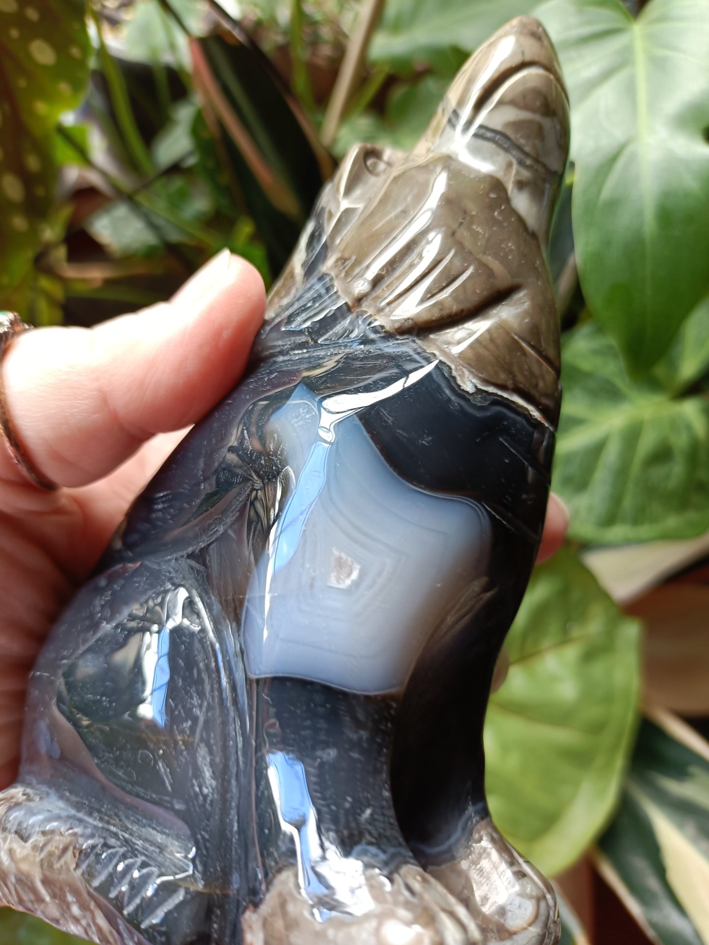 Volcanic Agate Wolf Carving - 777g