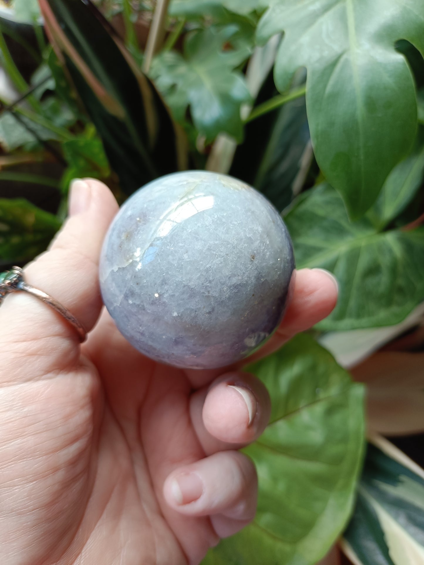 'Unicorn Stone' Pink Tourmaline & Lepidolite in Smokey Quartz Sphere - 216g