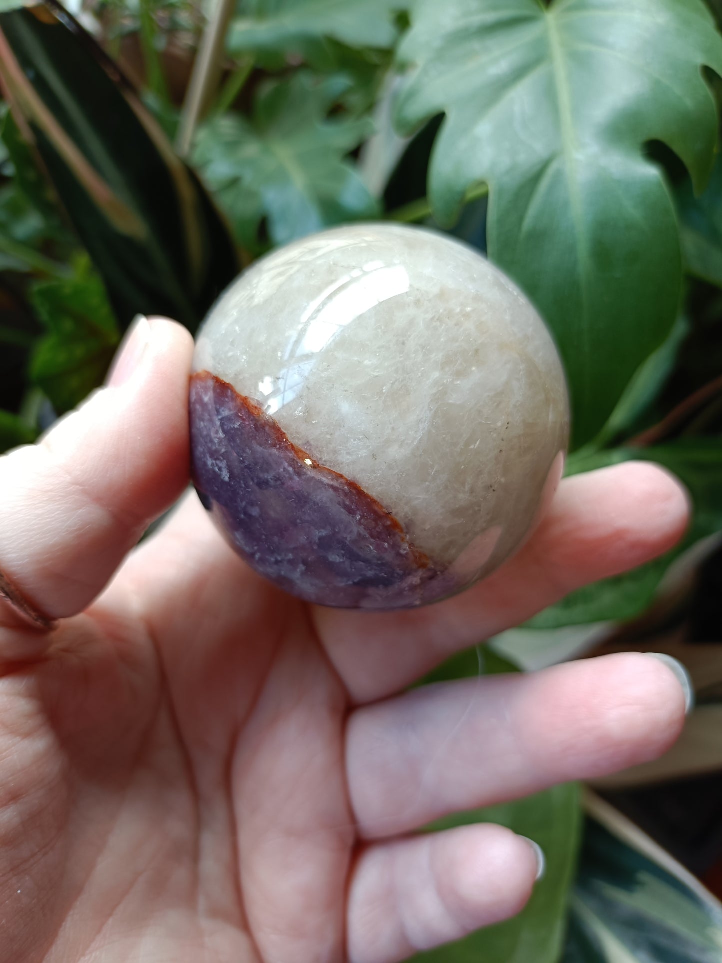 'Unicorn Stone' Pink Tourmaline & Lepidolite in Smokey Quartz Sphere - 290g