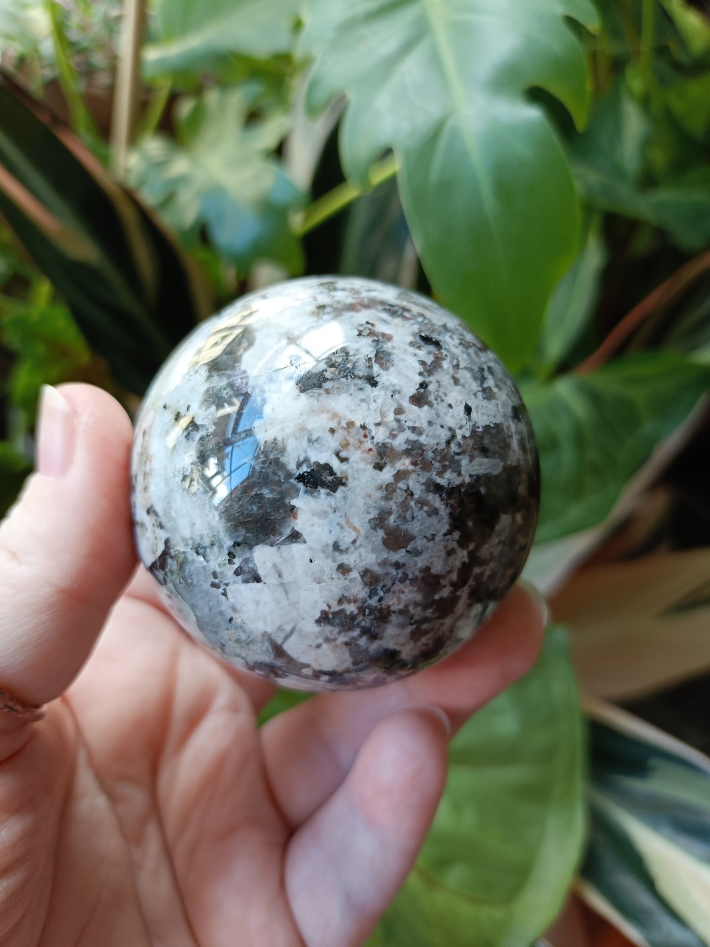Sodalite & Syenite 'Emberlite/Yooperlite' Sphere - 286g