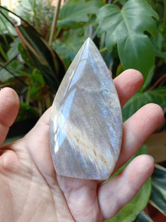 Blue Flash Moonstone Teardrop Carvings - 102g