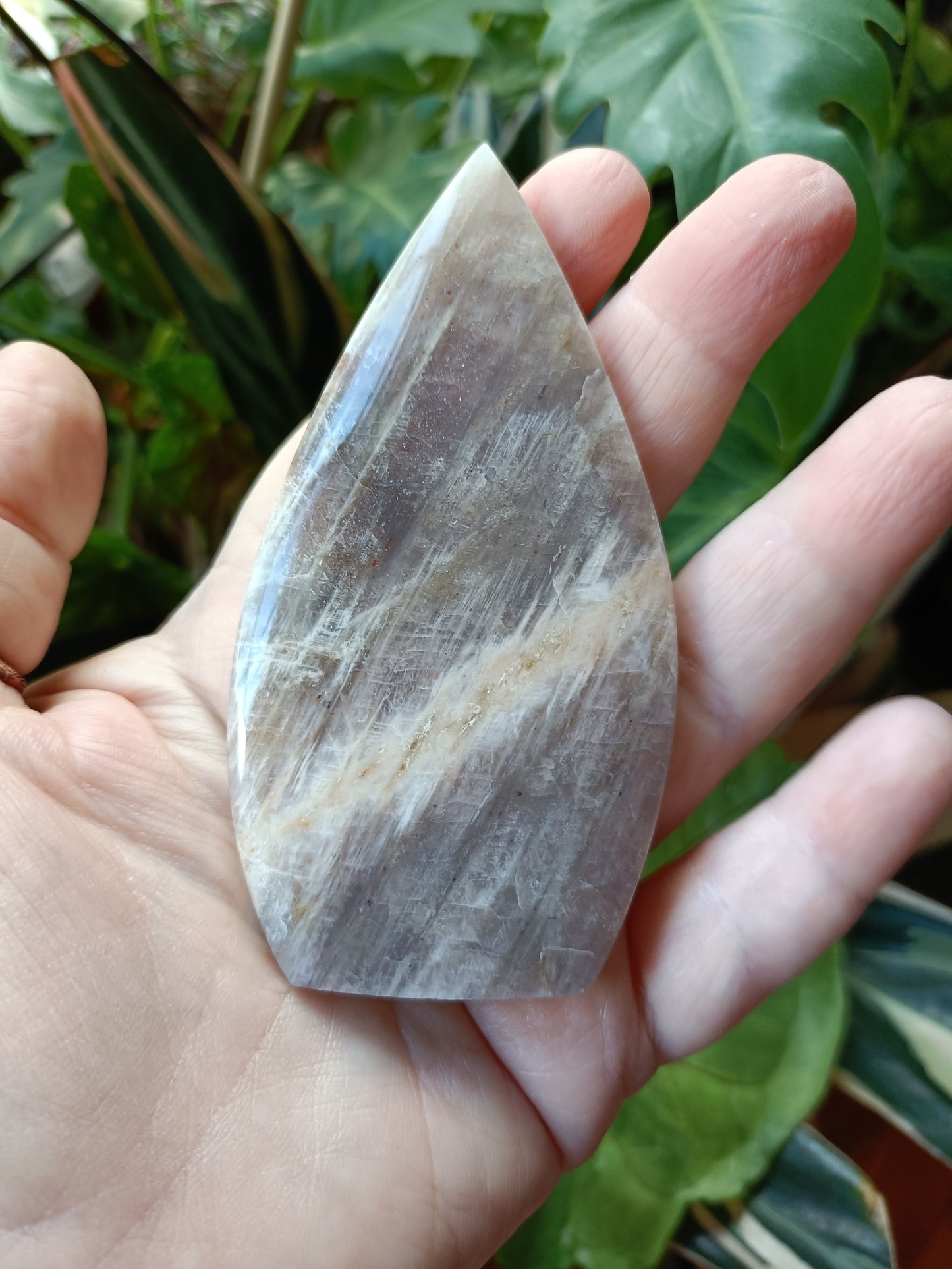 Blue Flash Moonstone Teardrop Carvings - 102g