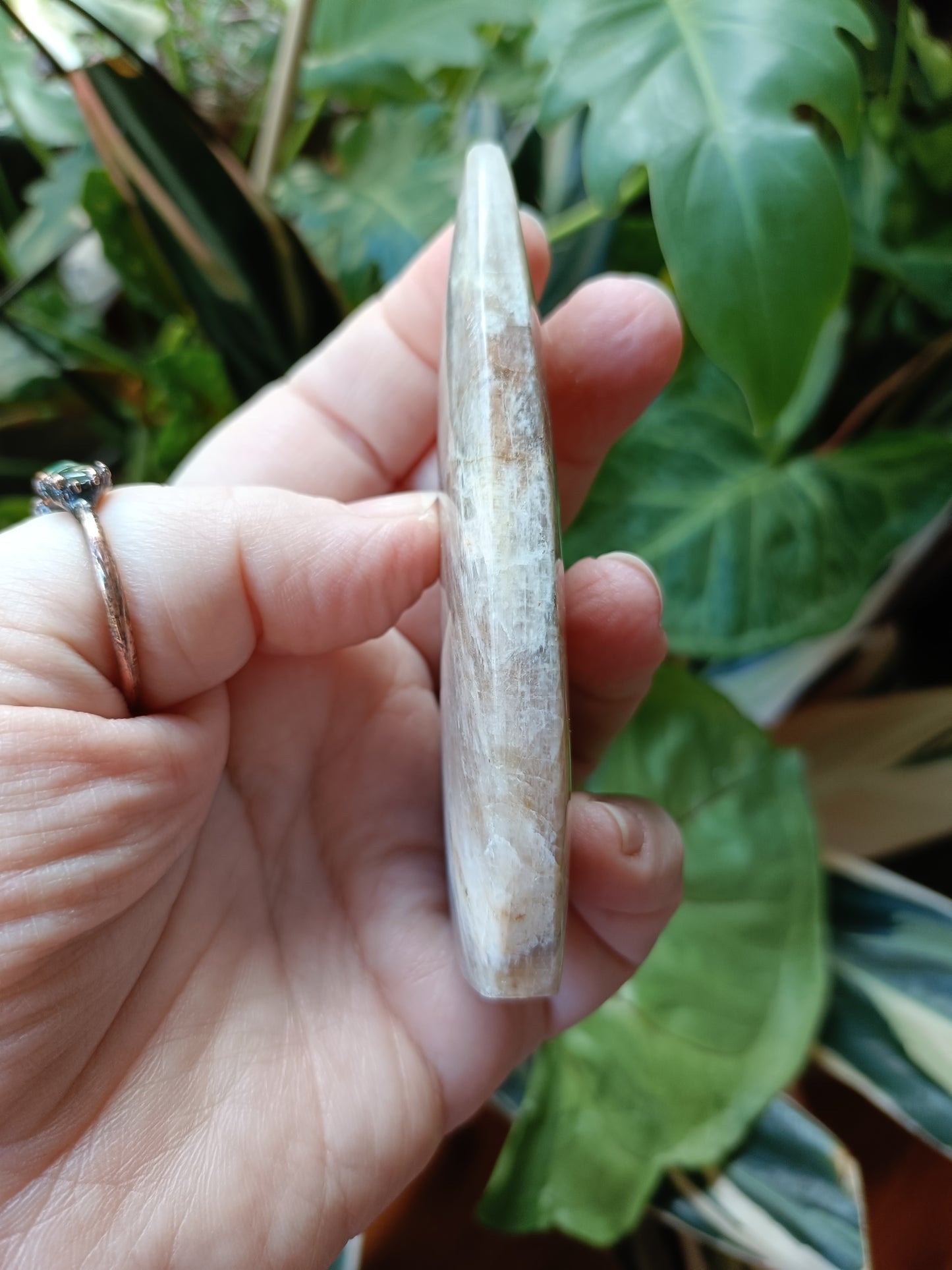 Blue Flash Moonstone Teardrop Carvings - 102g
