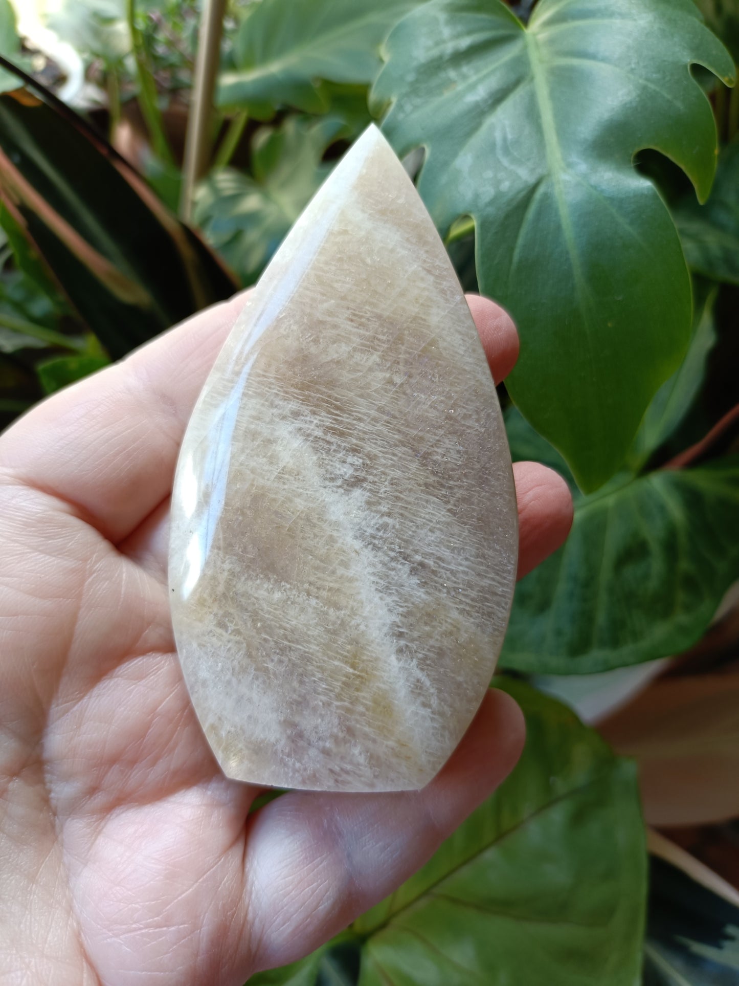 Blue Flash Moonstone Teardrop Carvings - 110g