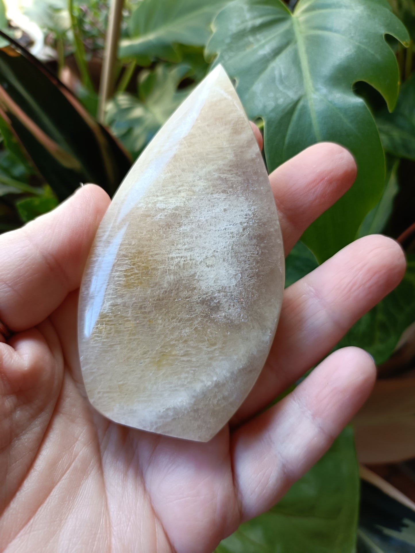 Blue Flash Moonstone Teardrop Carvings - 110g