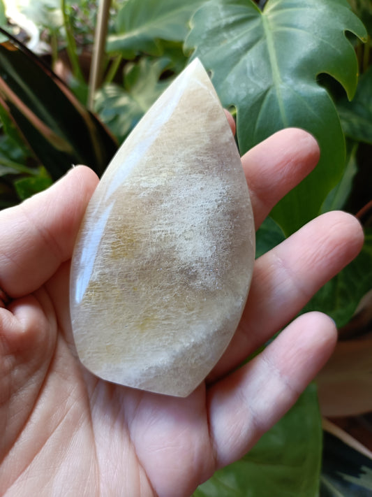 Blue Flash Moonstone Teardrop Carvings - 110g