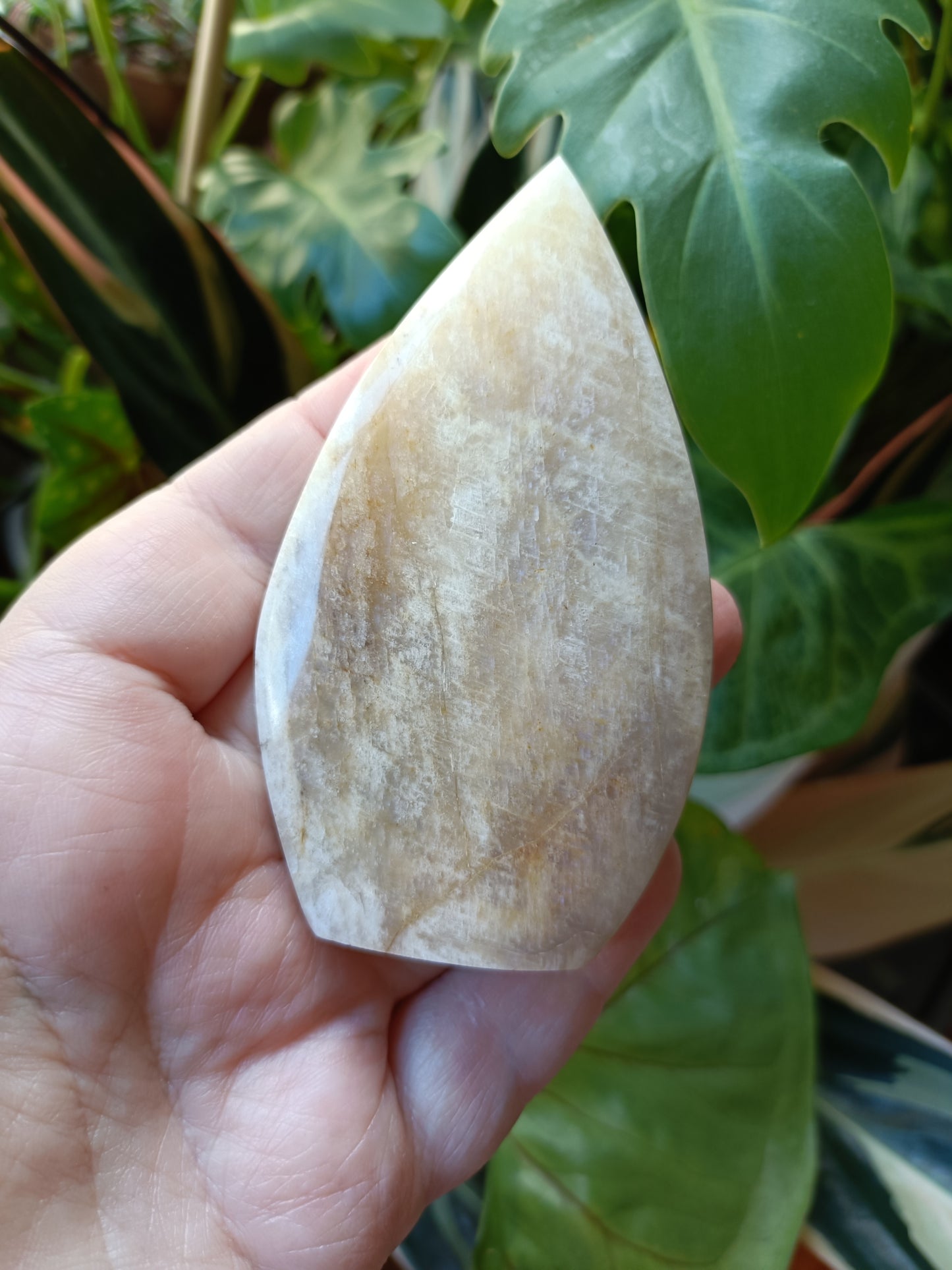 Blue Flash Moonstone Teardrop Carvings - 130g
