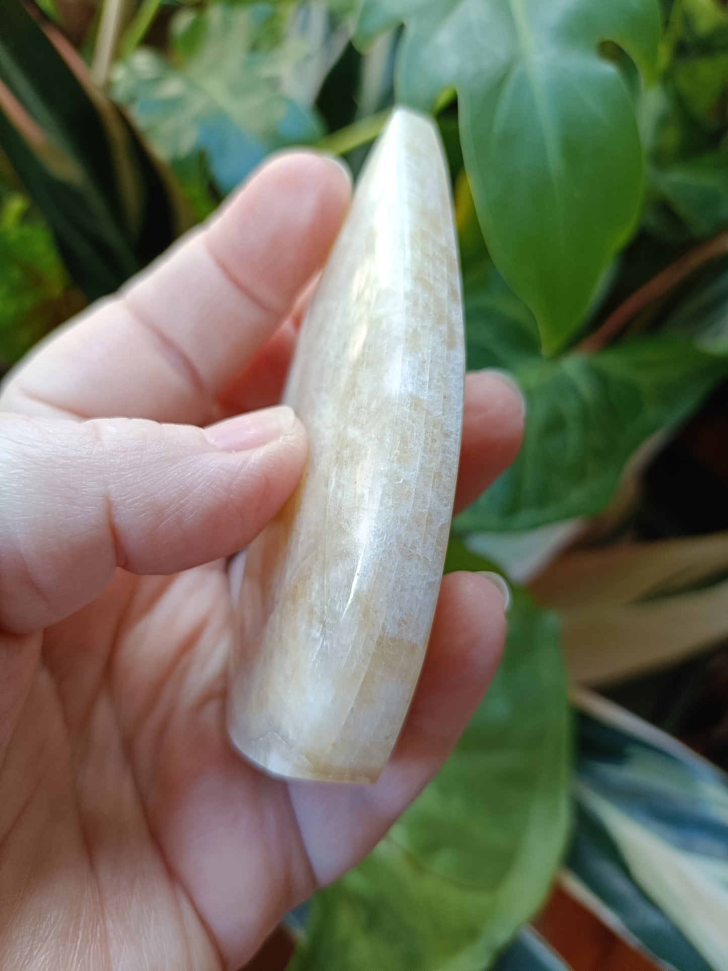 Blue Flash Moonstone Teardrop Carvings - 130g