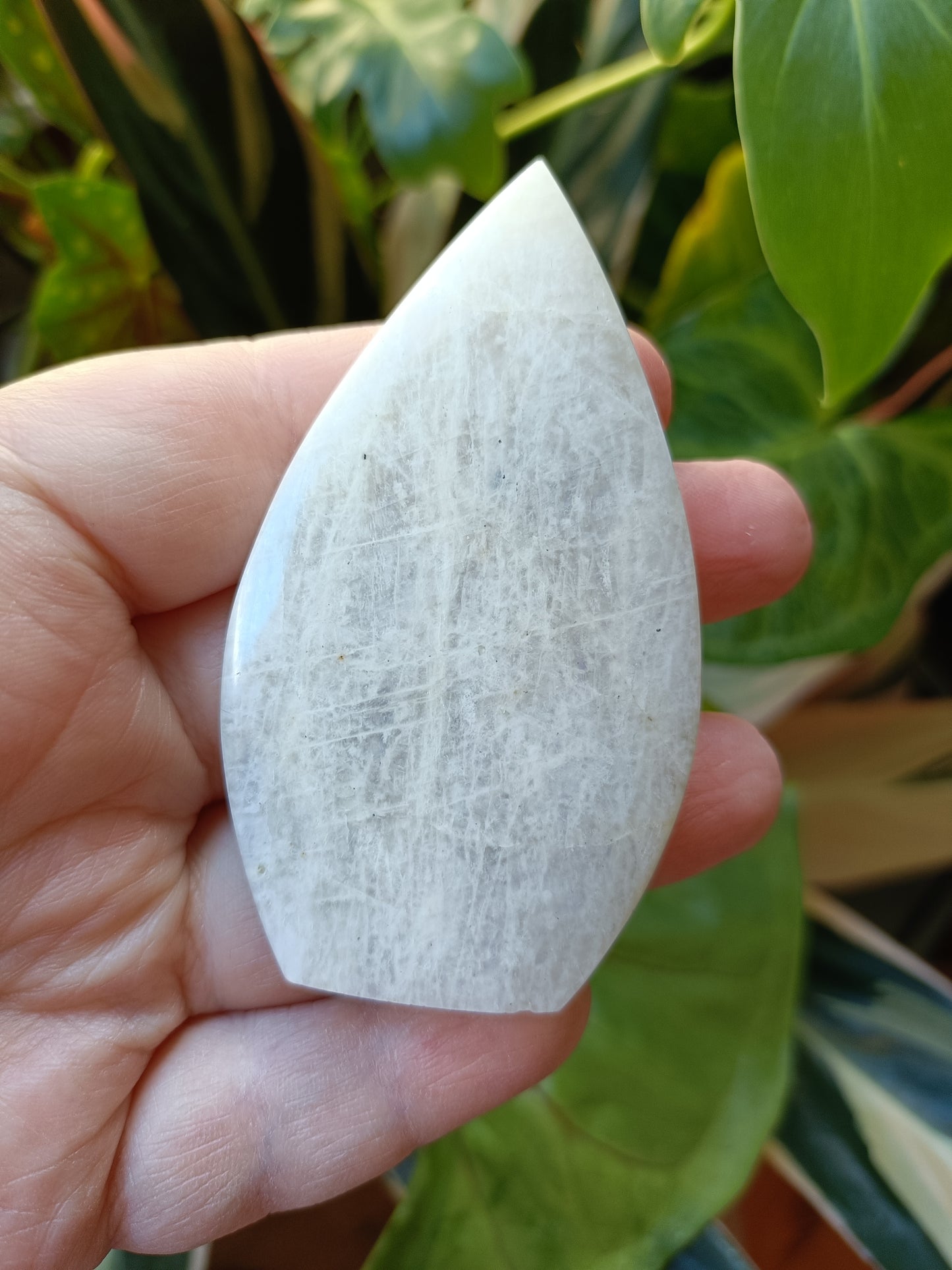 Blue Flash Moonstone Teardrop Carvings - 66g