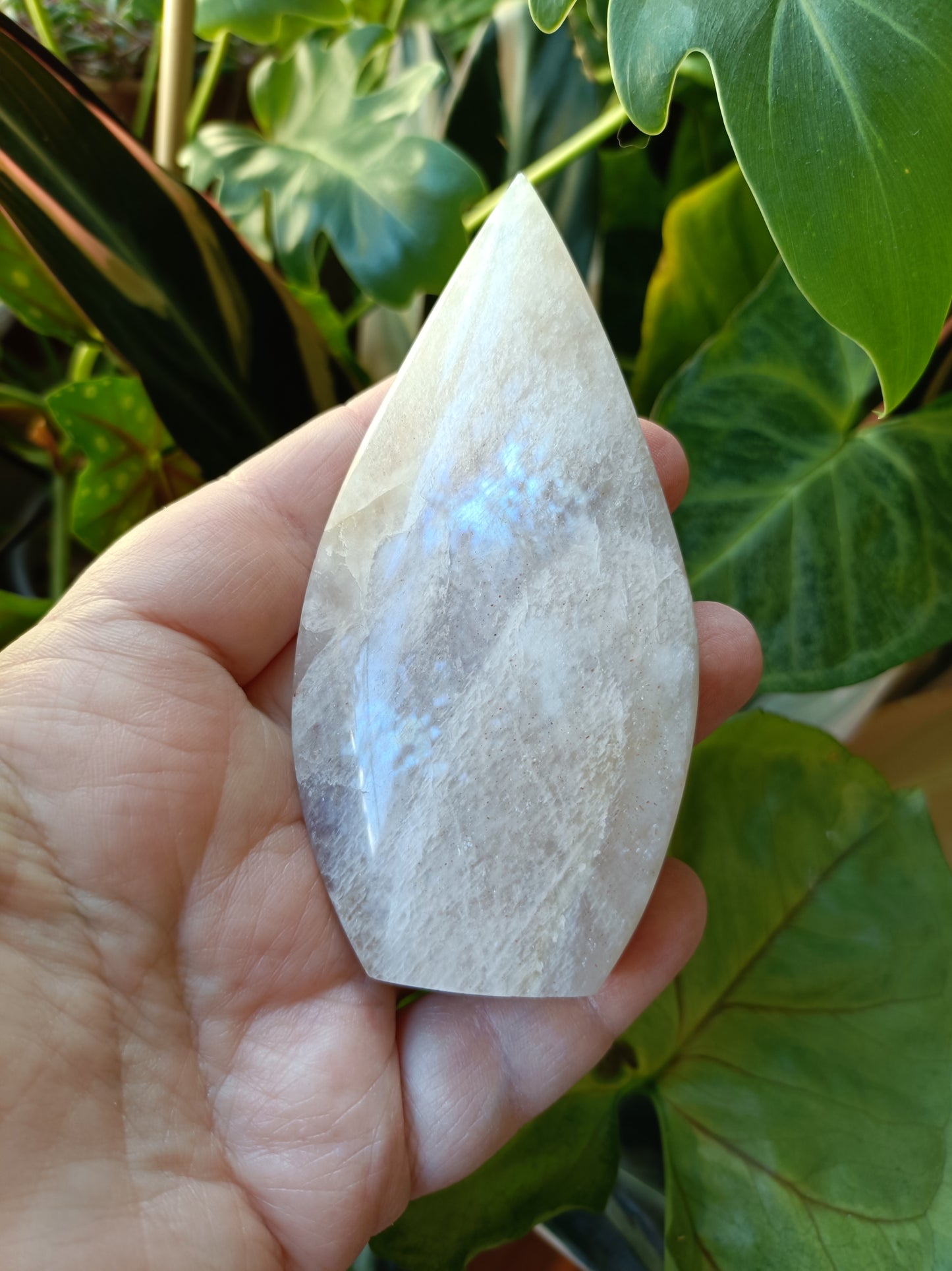 Blue Flash Moonstone Teardrop Carvings - 137g