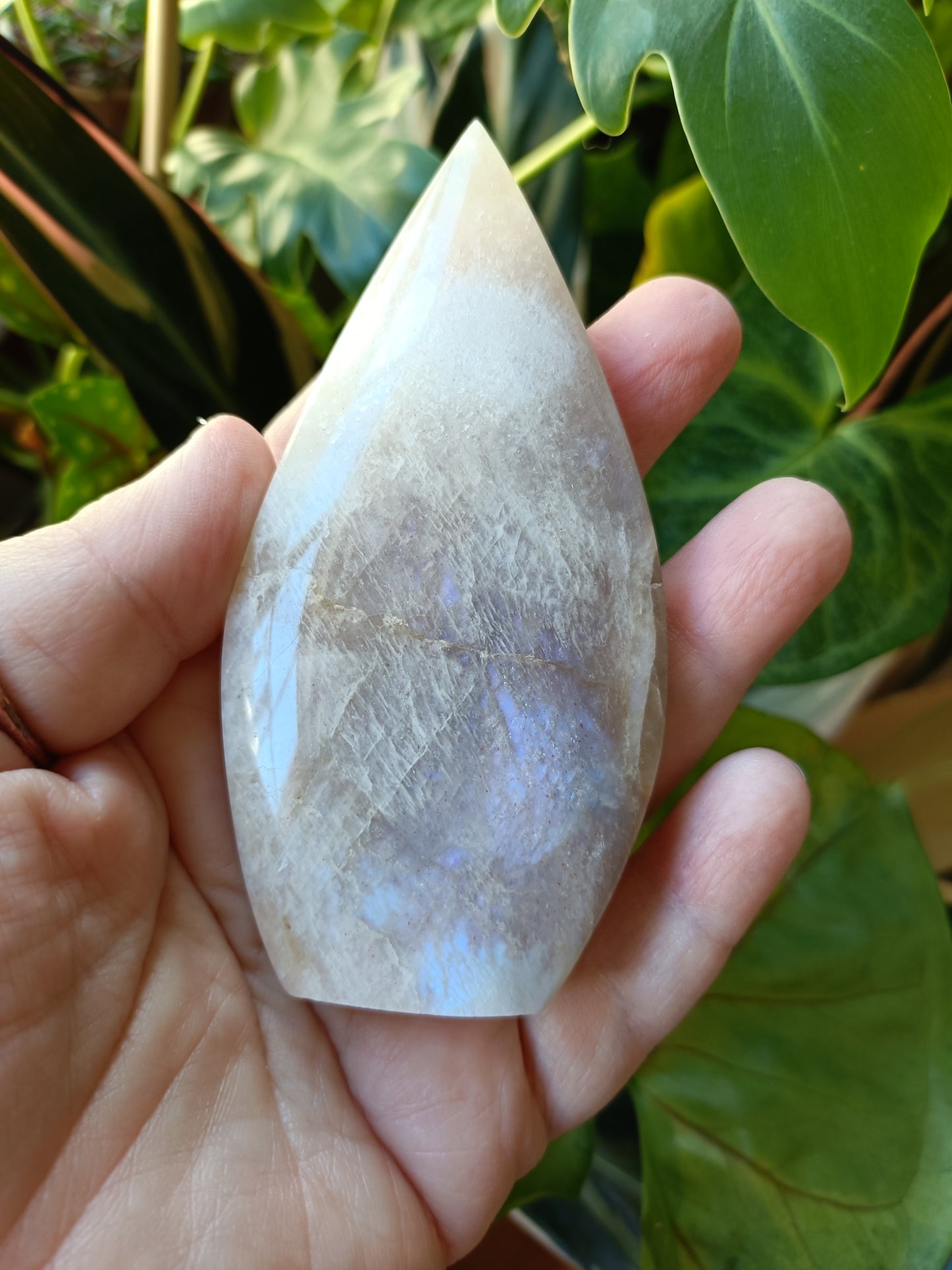 Blue Flash Moonstone Teardrop Carvings - 137g
