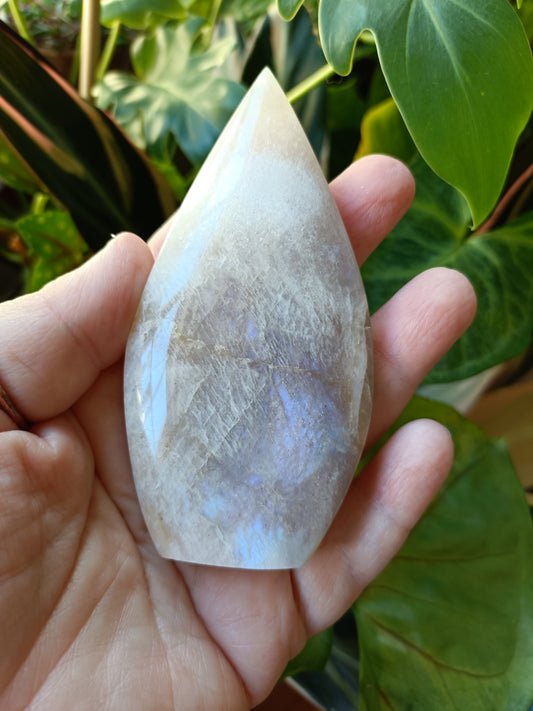 Blue Flash Moonstone Teardrop Carvings - 137g