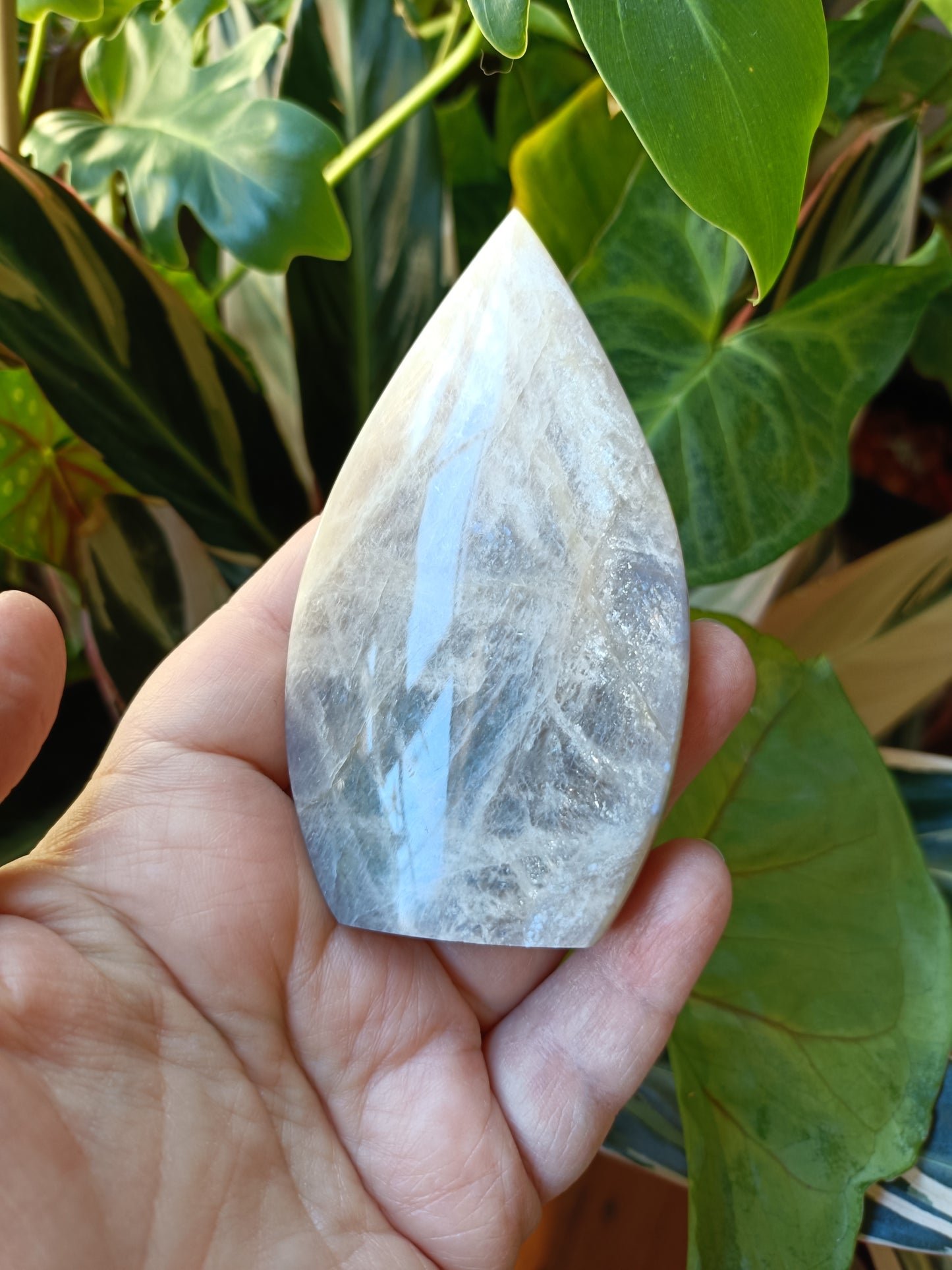 Blue Flash Moonstone Teardrop Carvings - 159g