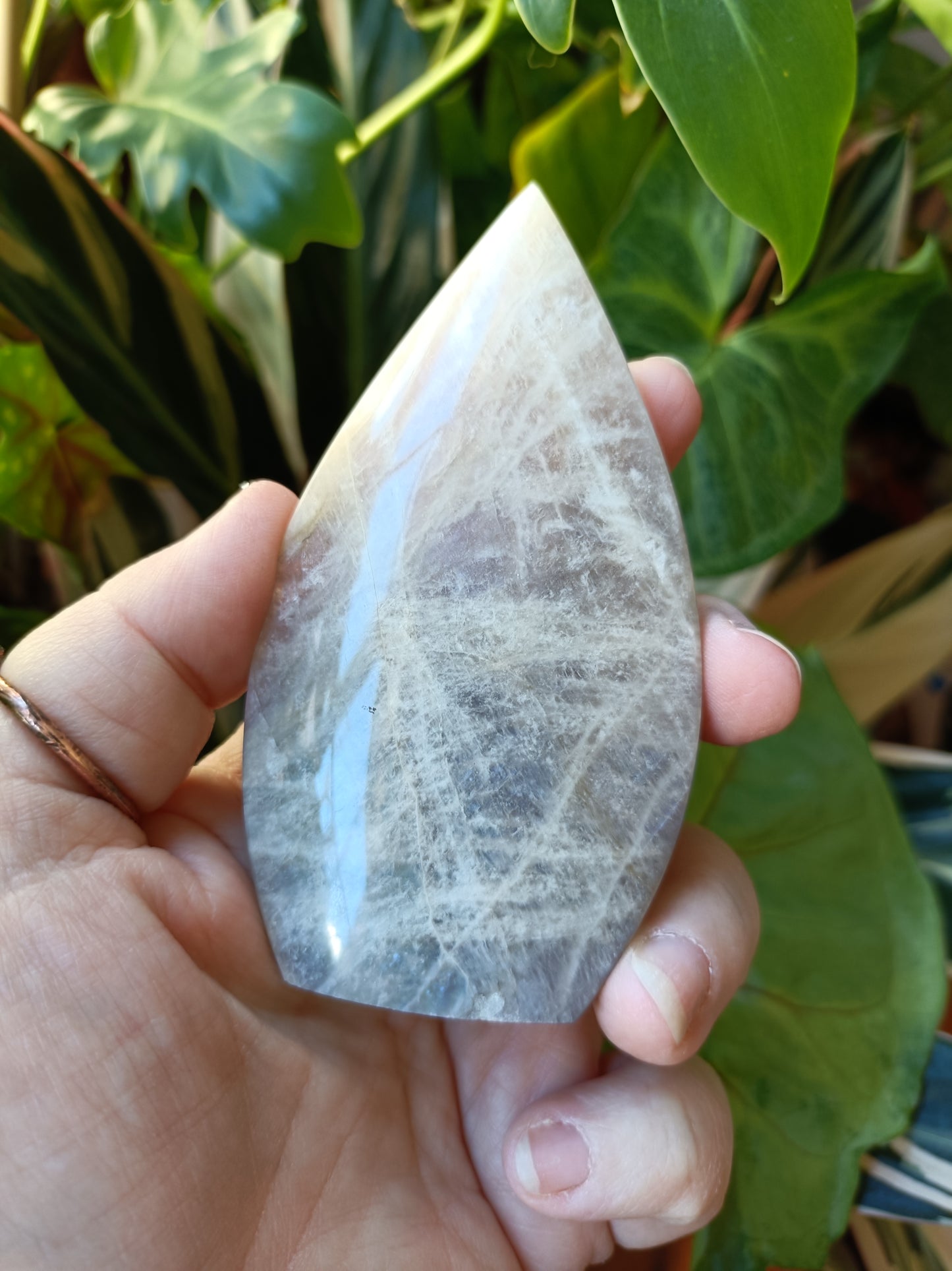 Blue Flash Moonstone Teardrop Carvings - 159g
