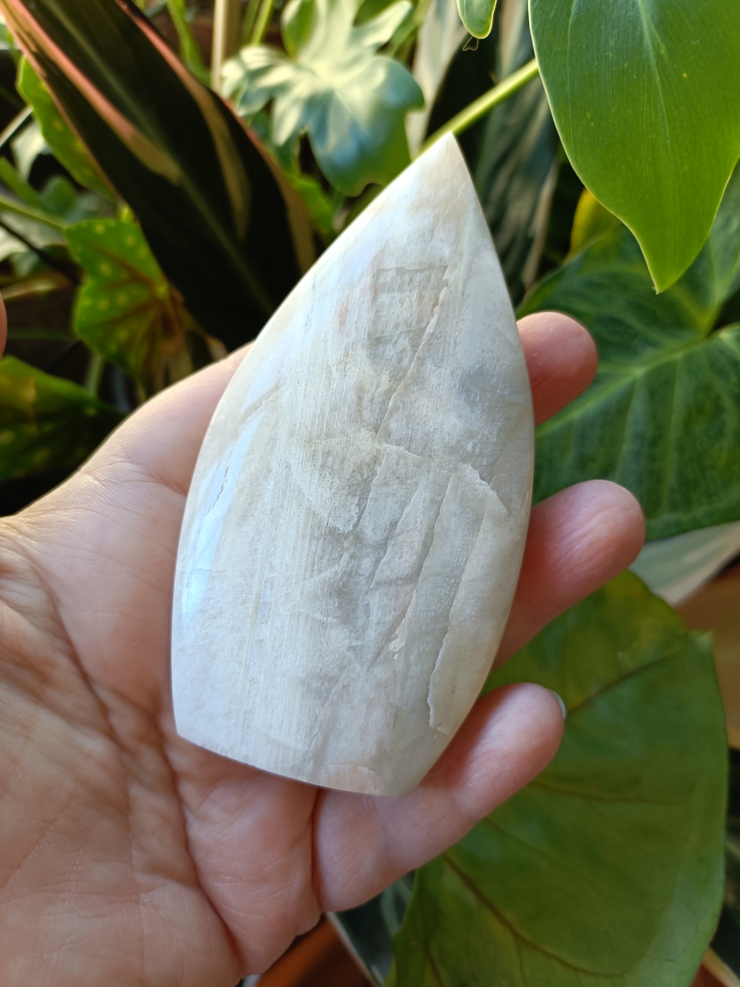 Blue Flash Moonstone Teardrop Carvings - 156g