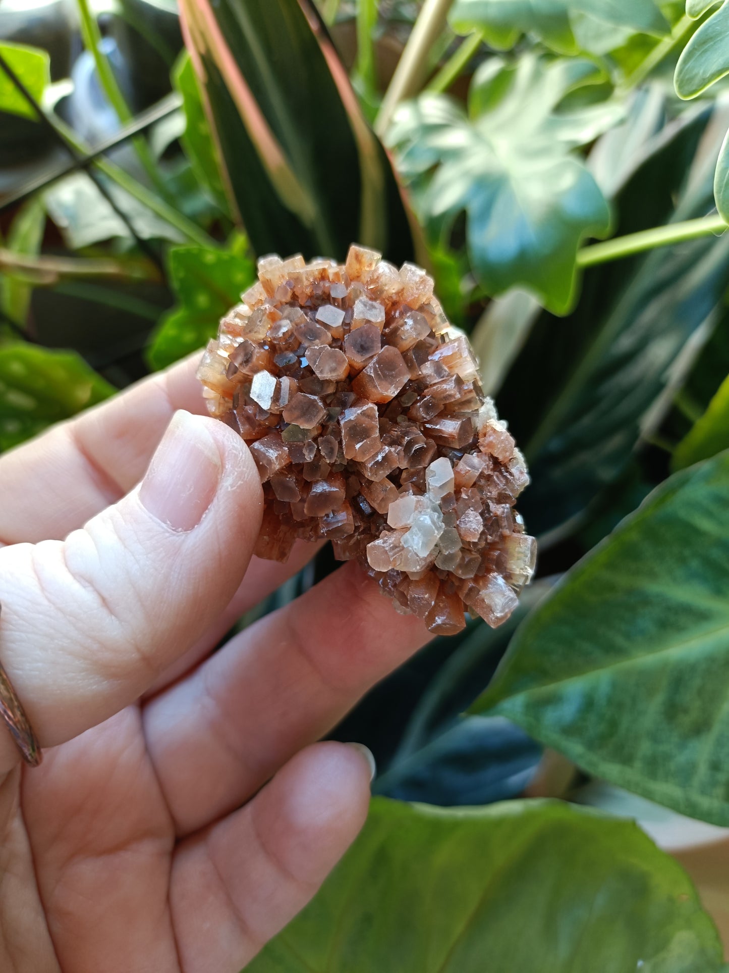 'Sputnik' Aragonite Specimen - LARGE 65-85g