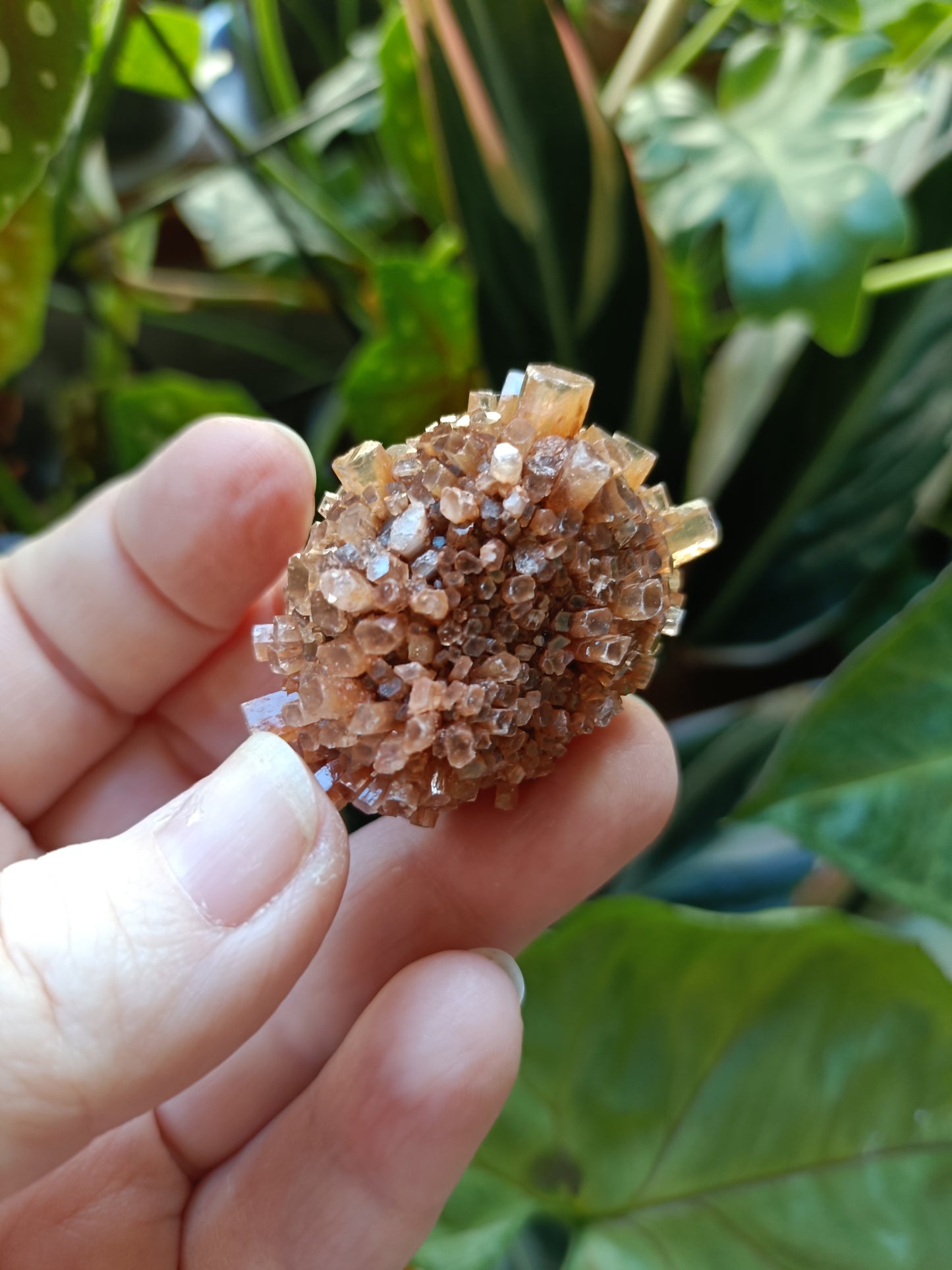 'Sputnik' Aragonite Specimen - SMALL 35-55g