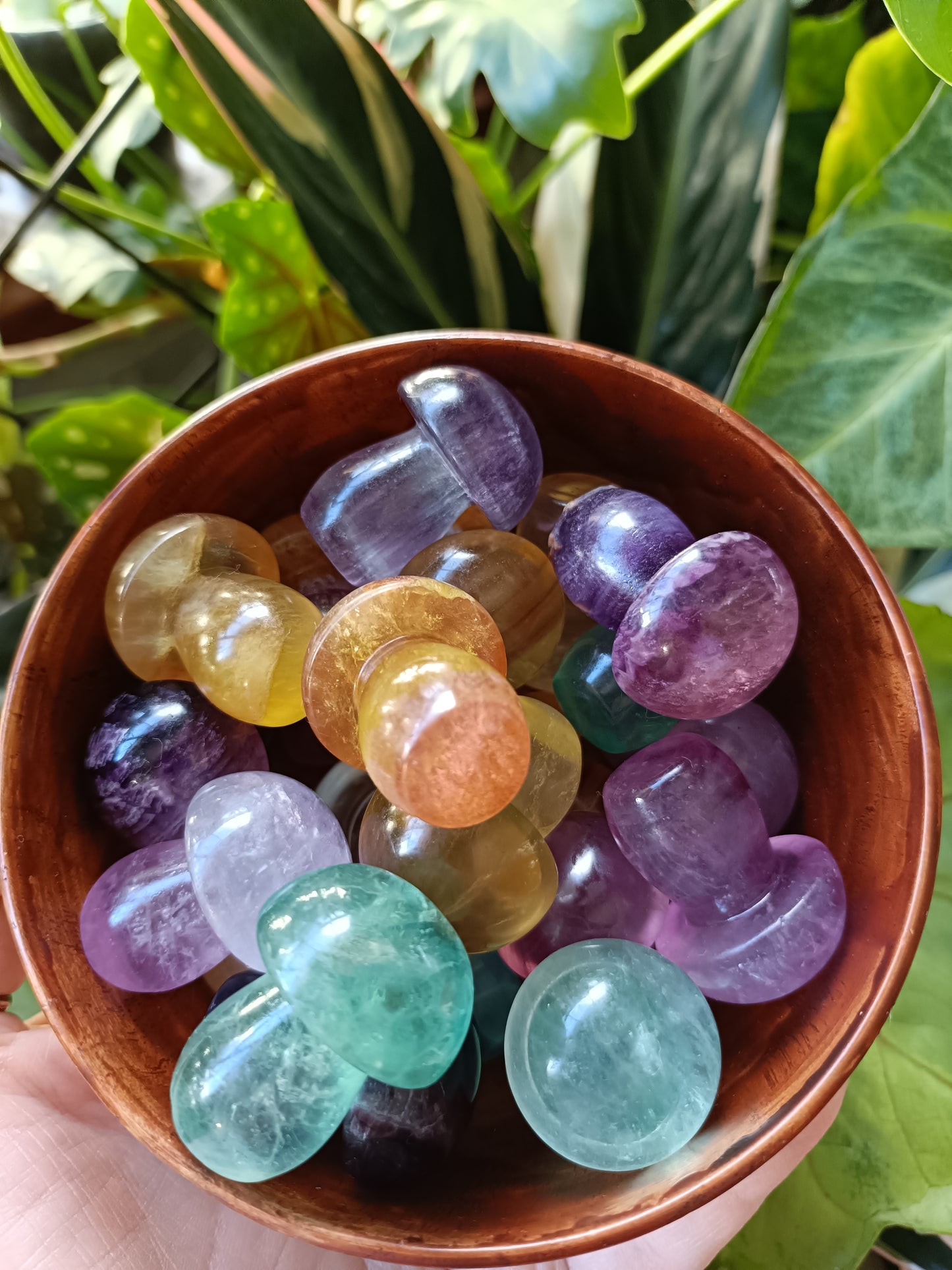 Mixed Fluorite Mushrooms - 23g