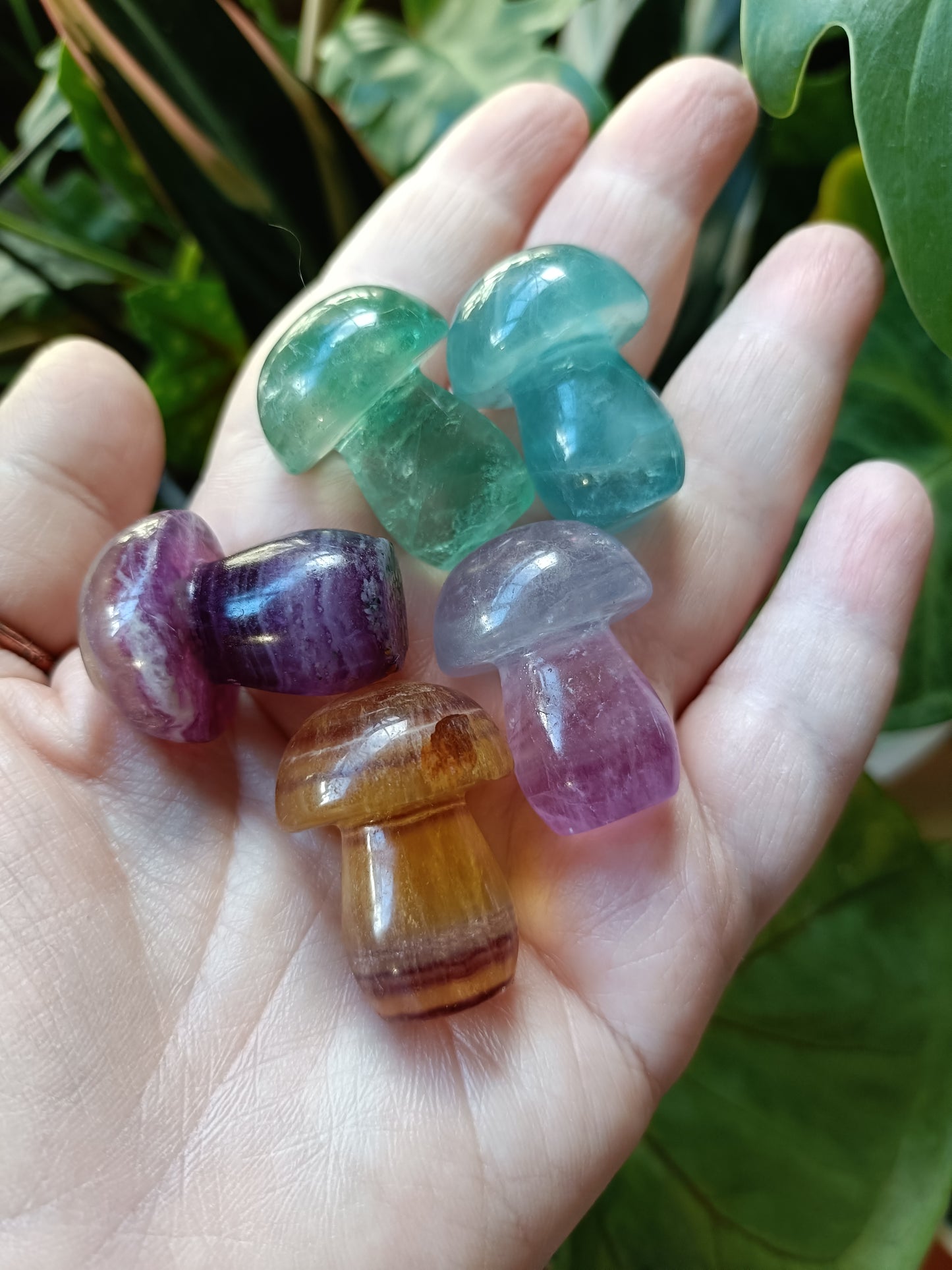 Mixed Fluorite Mushrooms - 23g