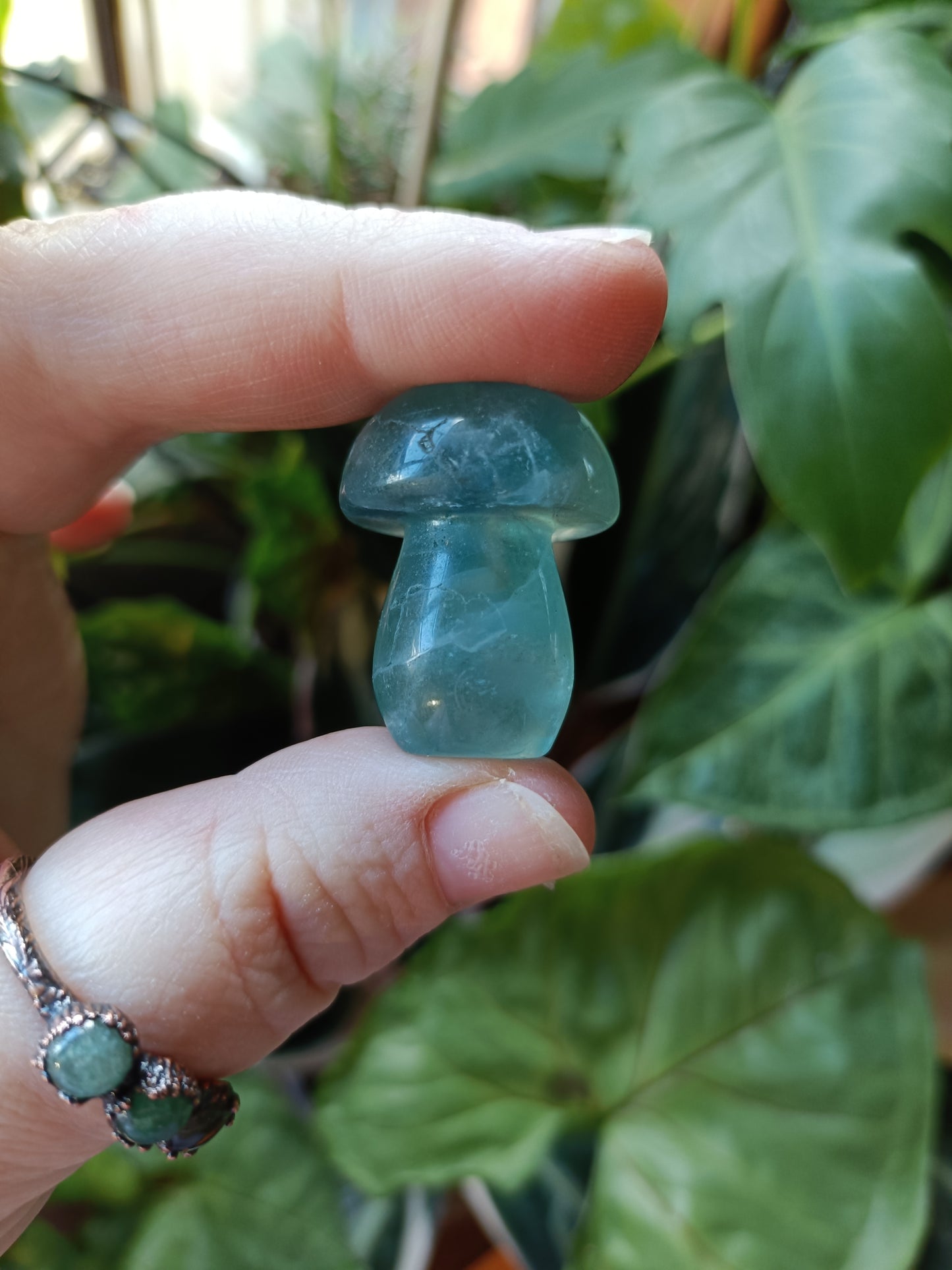 Mixed Fluorite Mushrooms - 23g