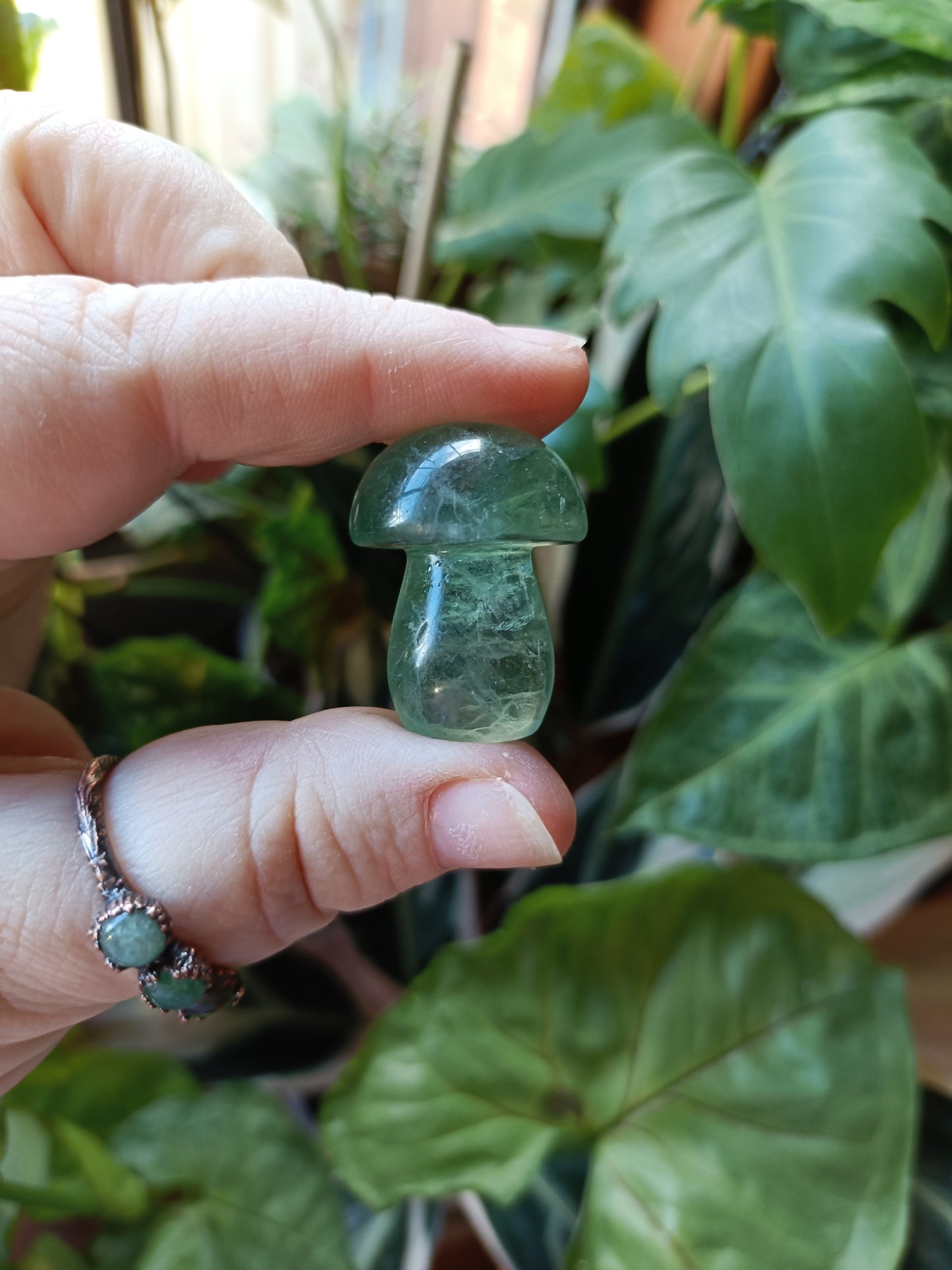 Mixed Fluorite Mushrooms - 23g