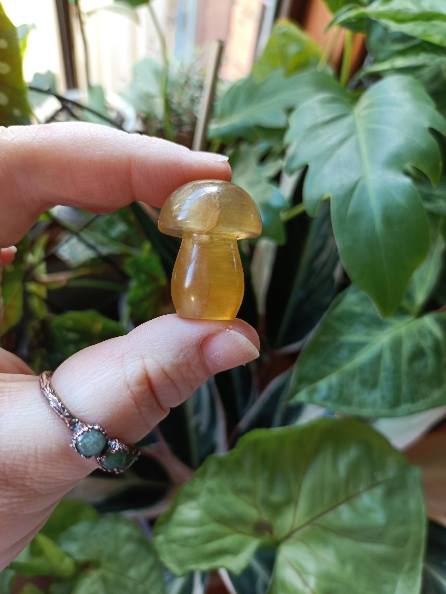 Mixed Fluorite Mushrooms - 23g