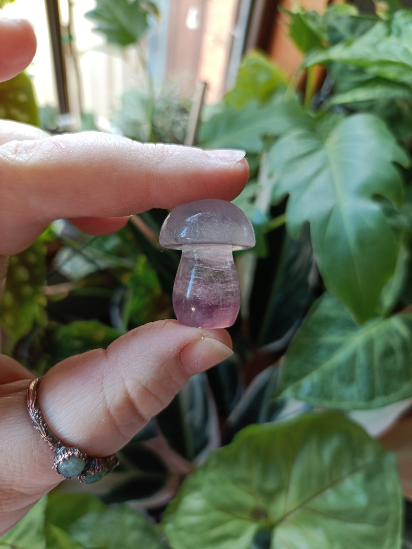 Mixed Fluorite Mushrooms - 23g