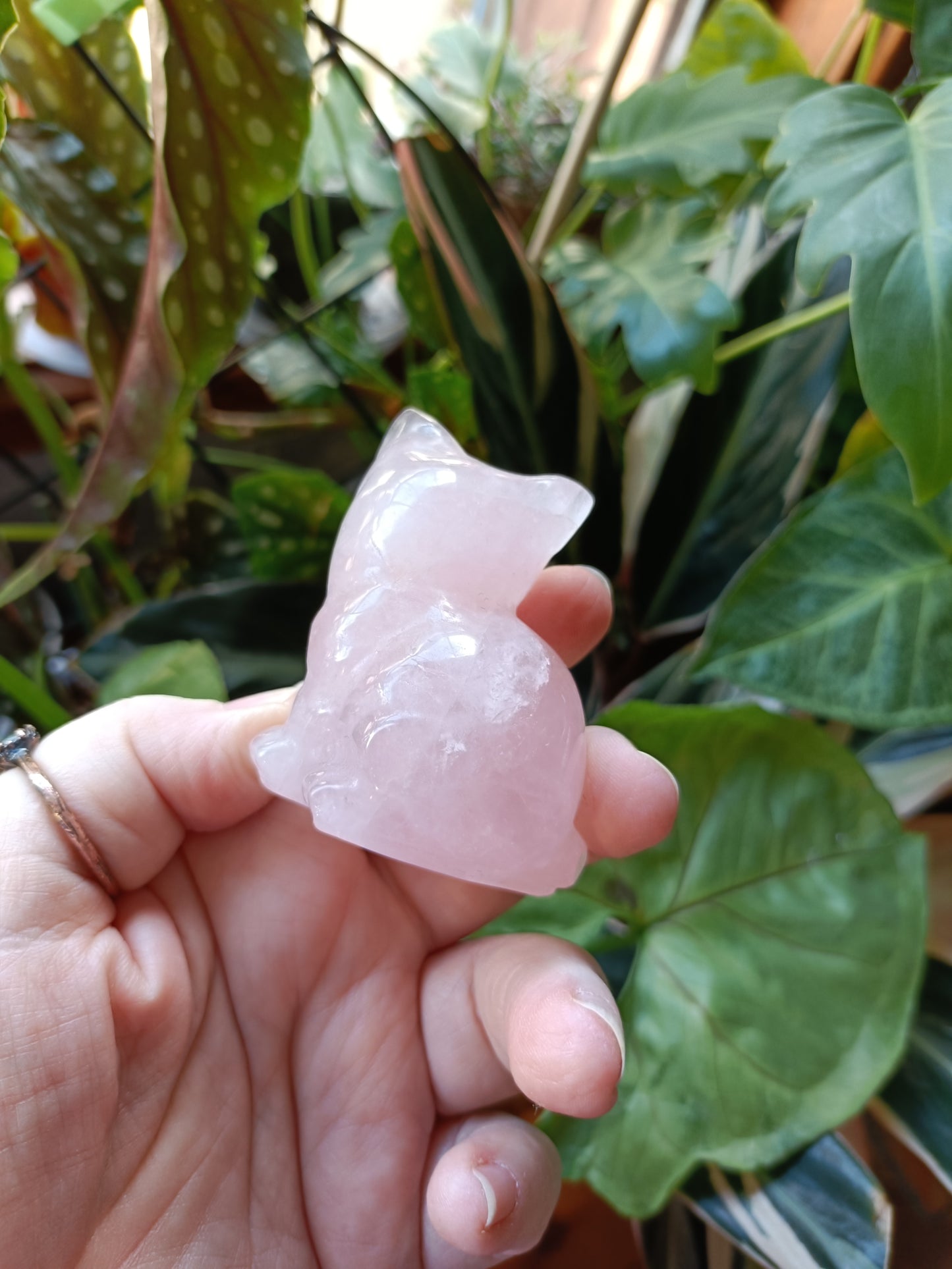 Rose Quartz Sitting Cat - 130g