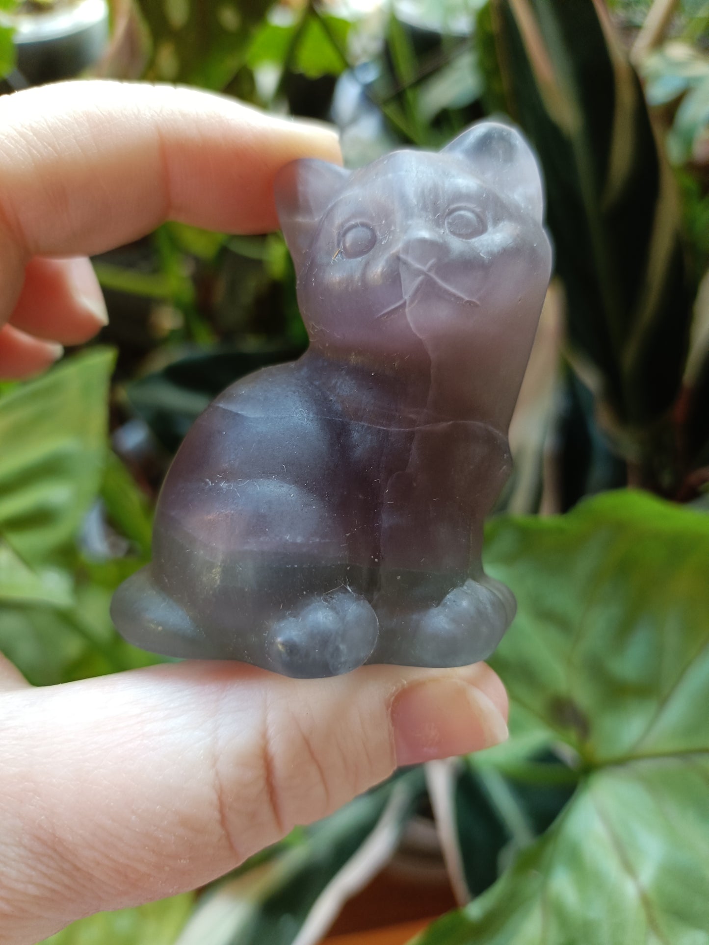 Banded Fluorite Sitting Cat - 138g