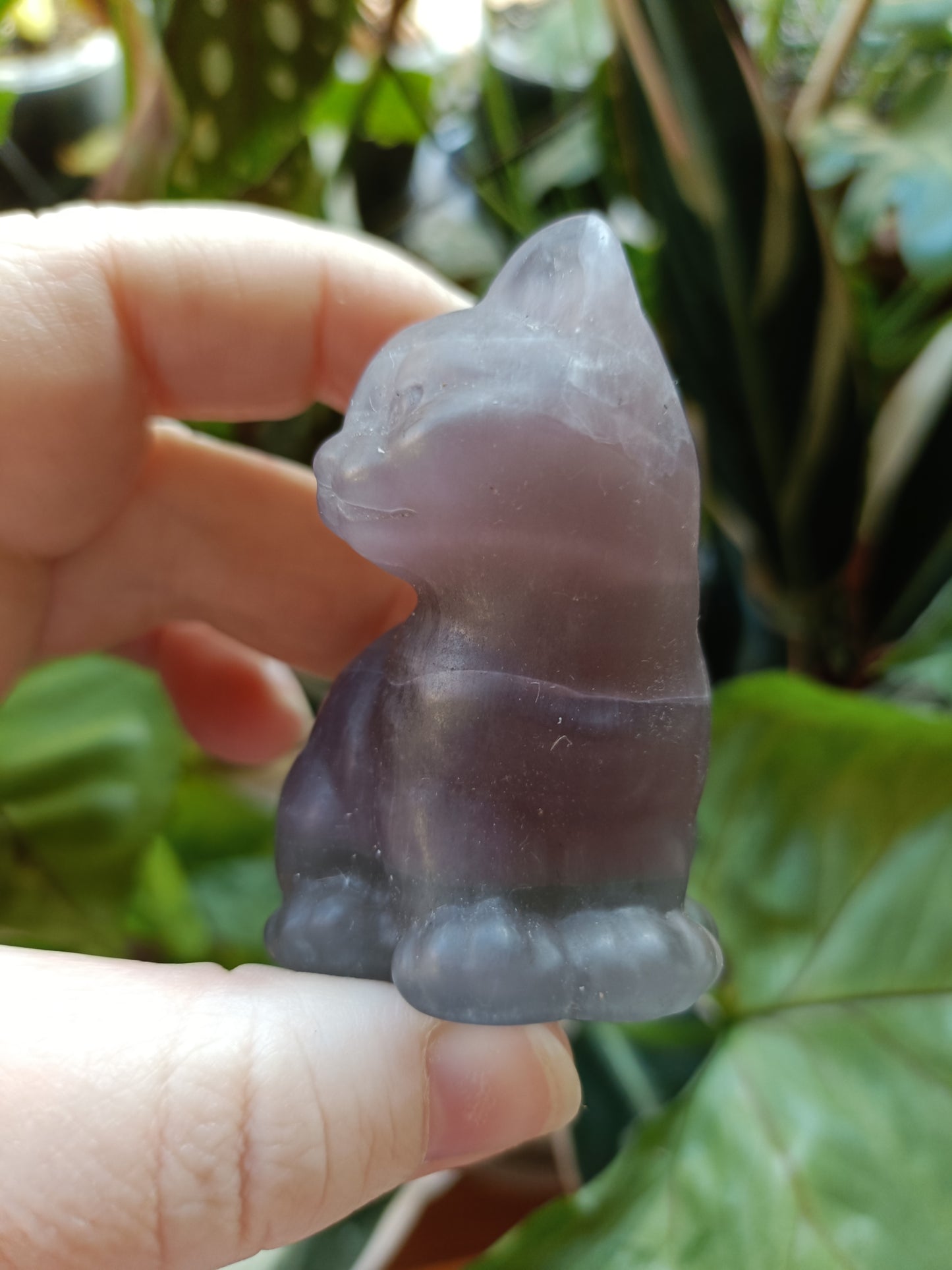 Banded Fluorite Sitting Cat - 138g