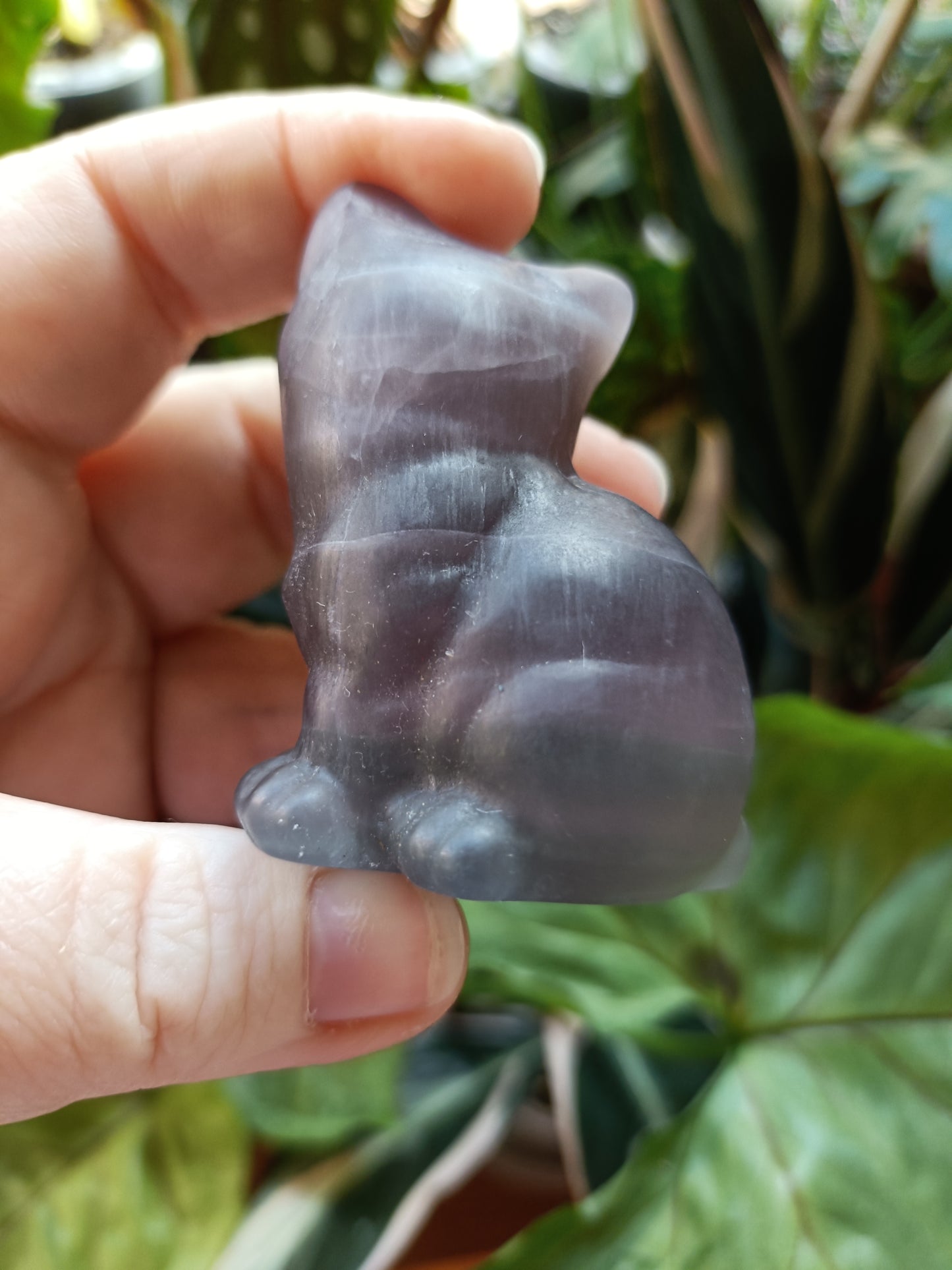 Banded Fluorite Sitting Cat - 138g