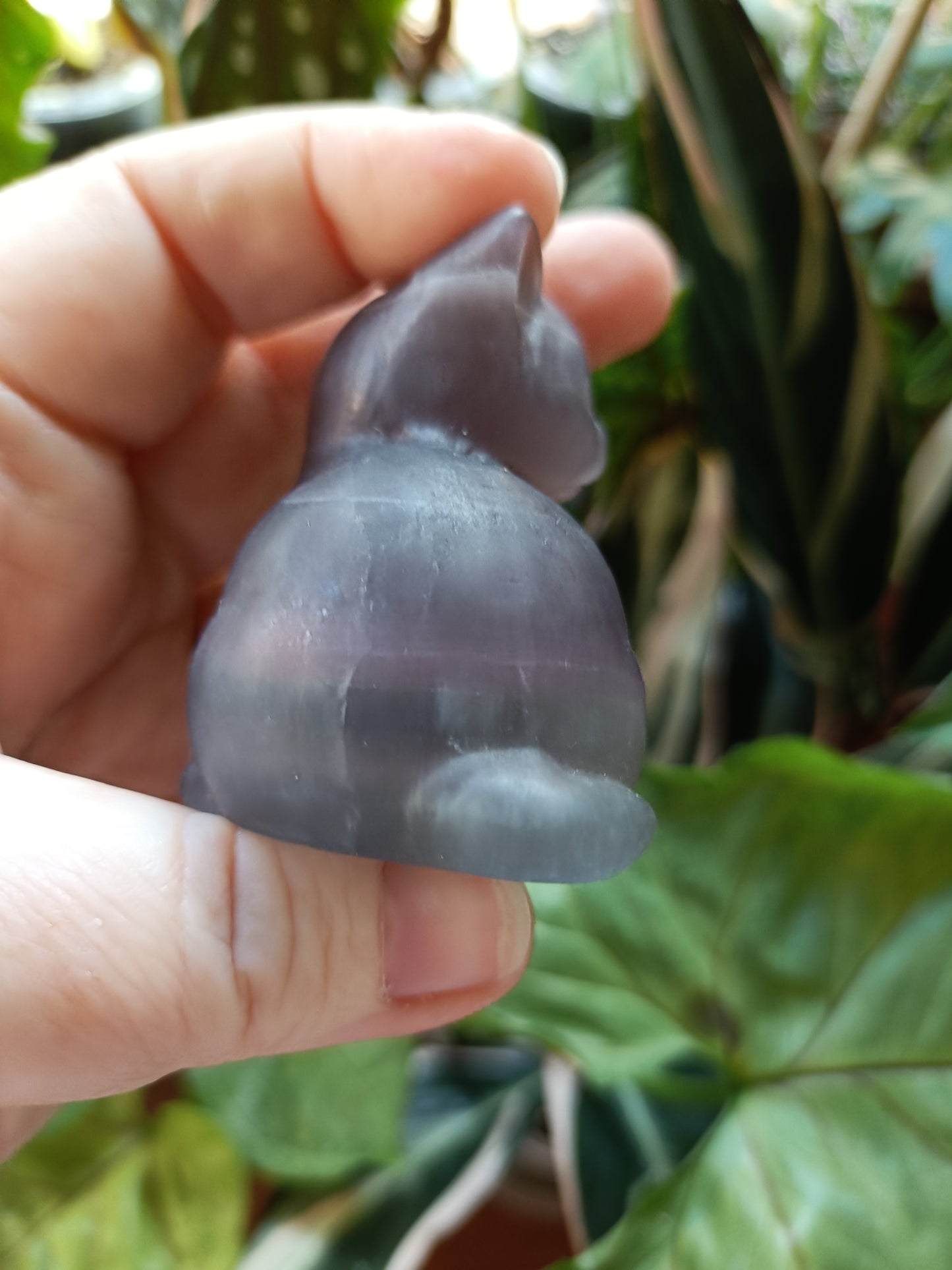 Banded Fluorite Sitting Cat - 138g