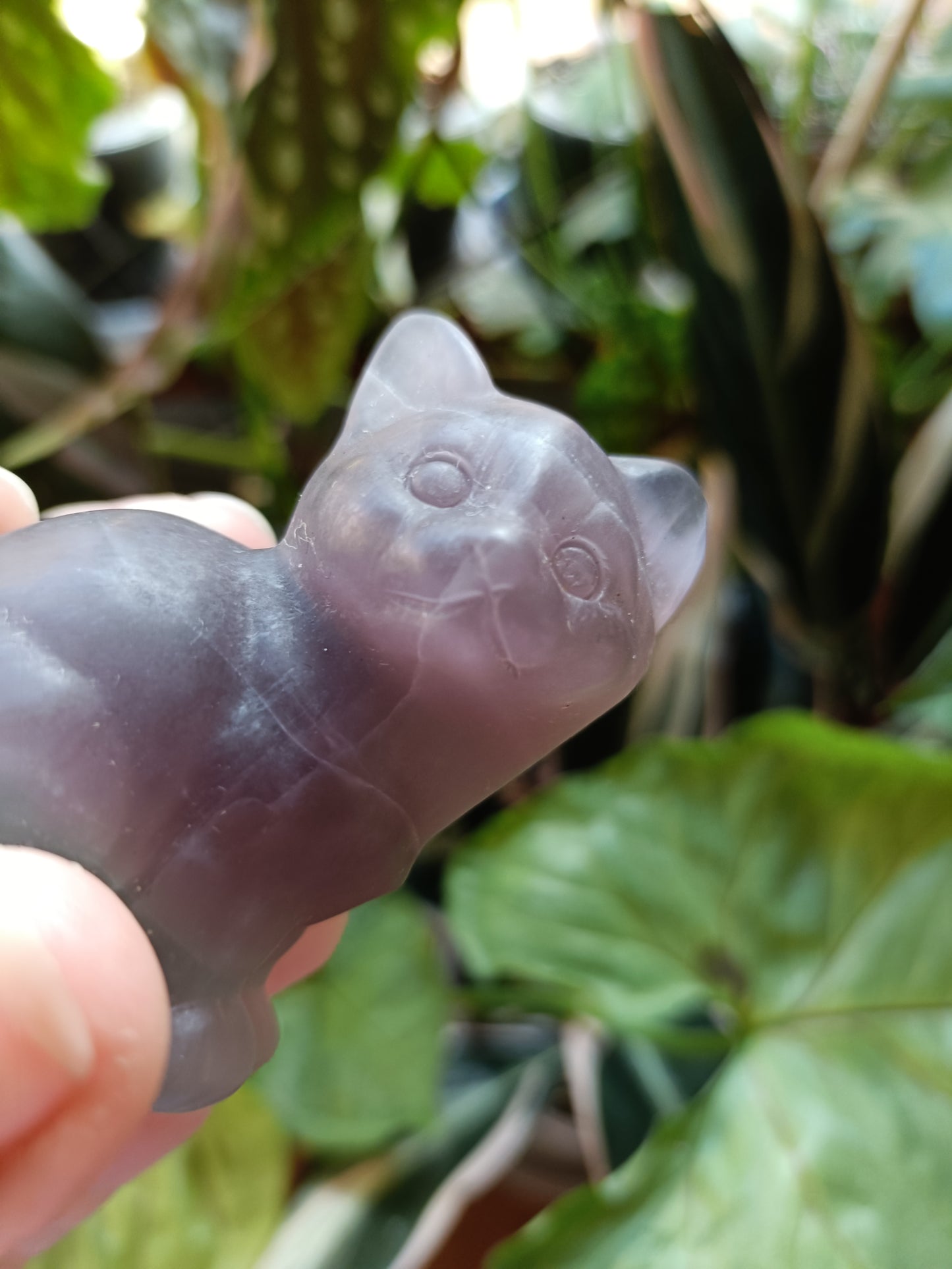 Banded Fluorite Sitting Cat - 138g