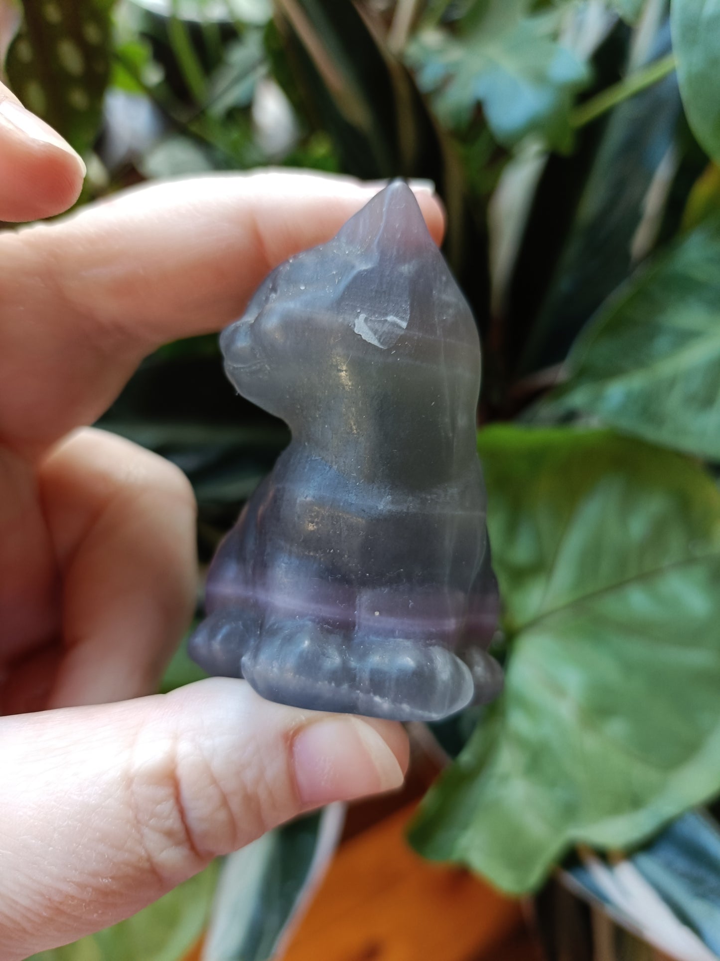 Banded Fluorite Sitting Cat - 141g