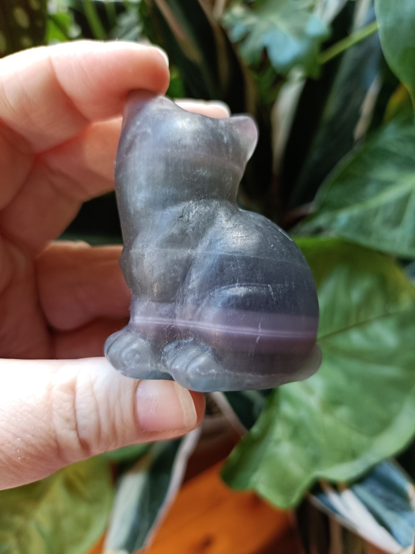 Banded Fluorite Sitting Cat - 141g