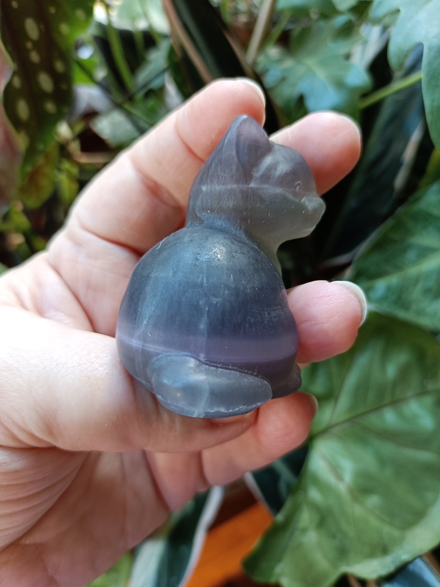 Banded Fluorite Sitting Cat - 141g