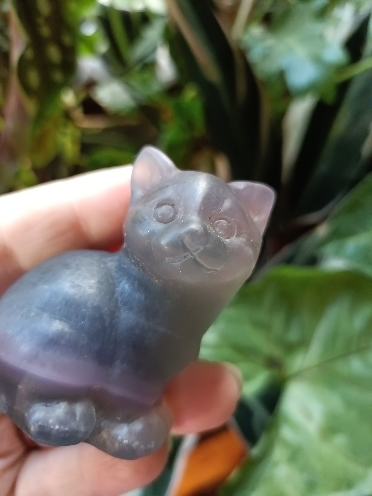 Banded Fluorite Sitting Cat - 141g