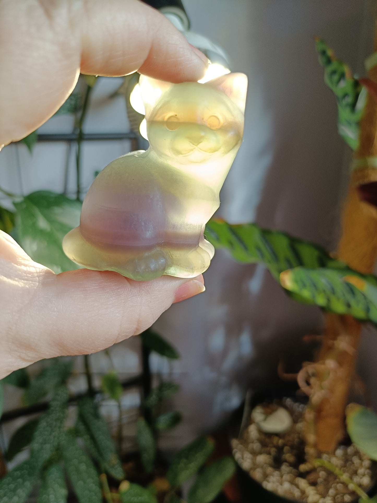 Banded Fluorite Sitting Cat - 141g