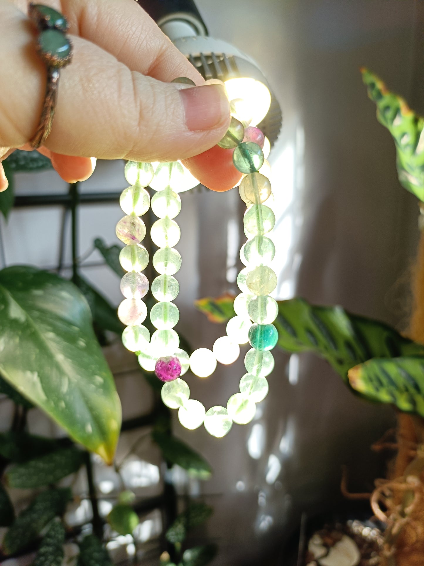 Rainbow Fluorite Round Beaded Stretch Bracelet - 8mm